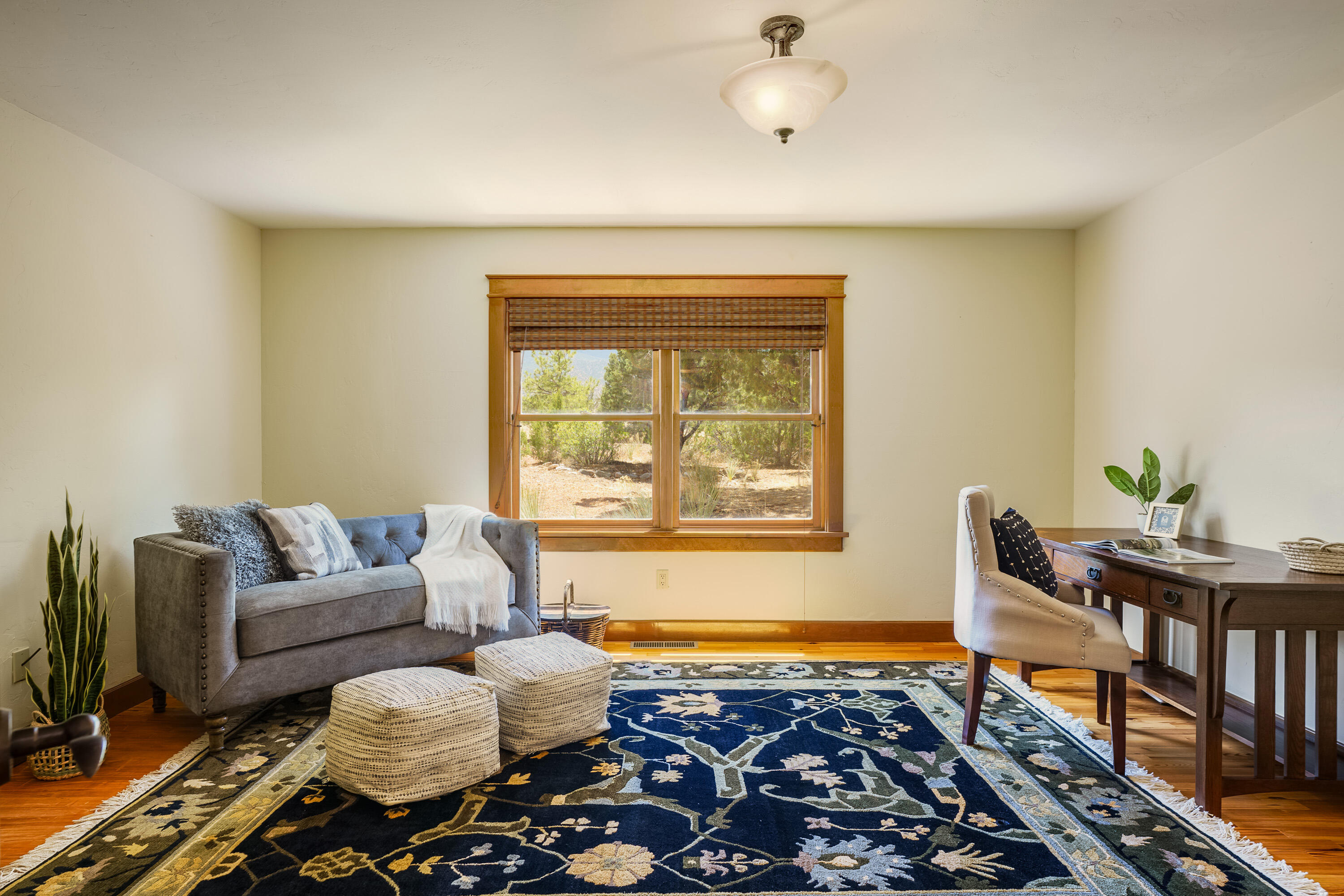 27 Homestead Lane, Placitas, New Mexico image 29