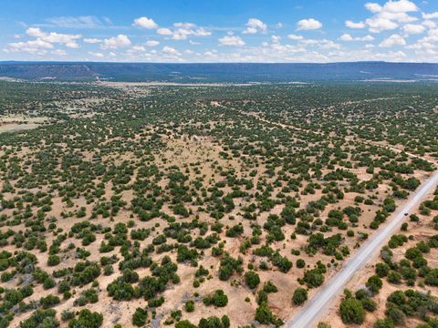 Vacant Land For Sale - 33 County Road B31a<br/> Ribera, NM 87560