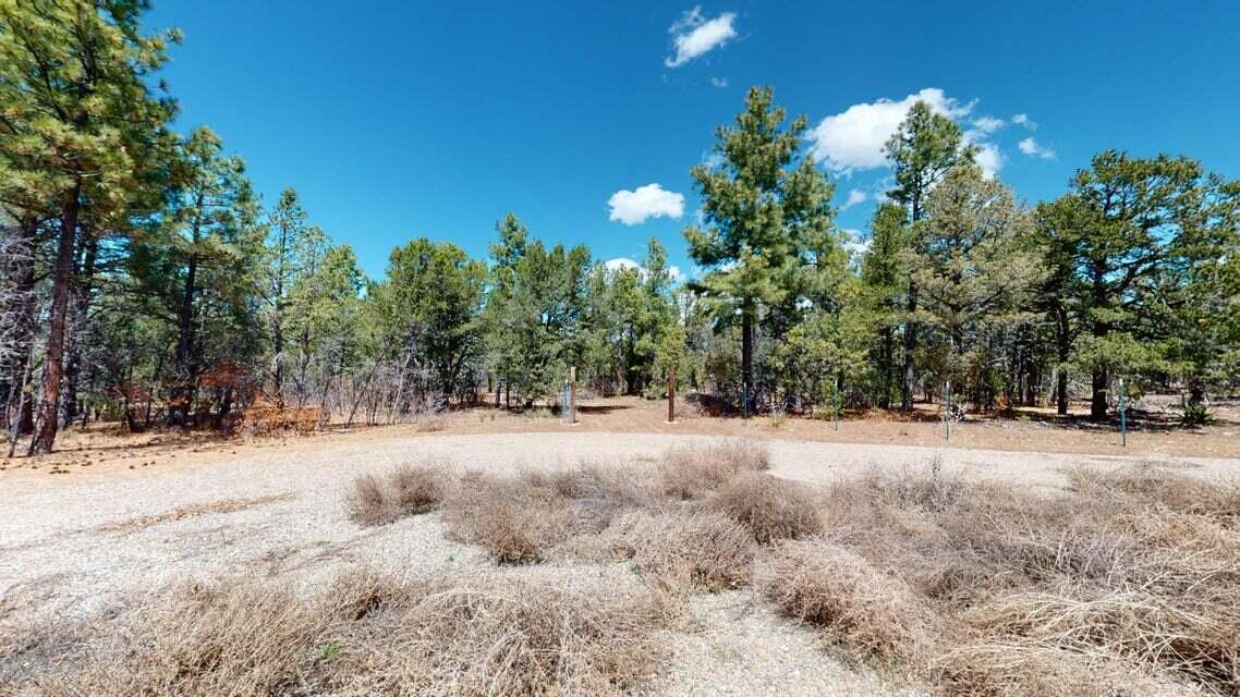 15 Secret Pines Court, Tijeras, New Mexico image 14