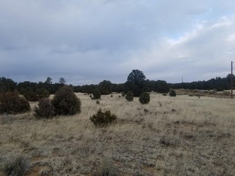 Vacant Land For Sale - 12 AND 13 Ranchero Rd.<br/> Catron County, Pie Town, NM 87827