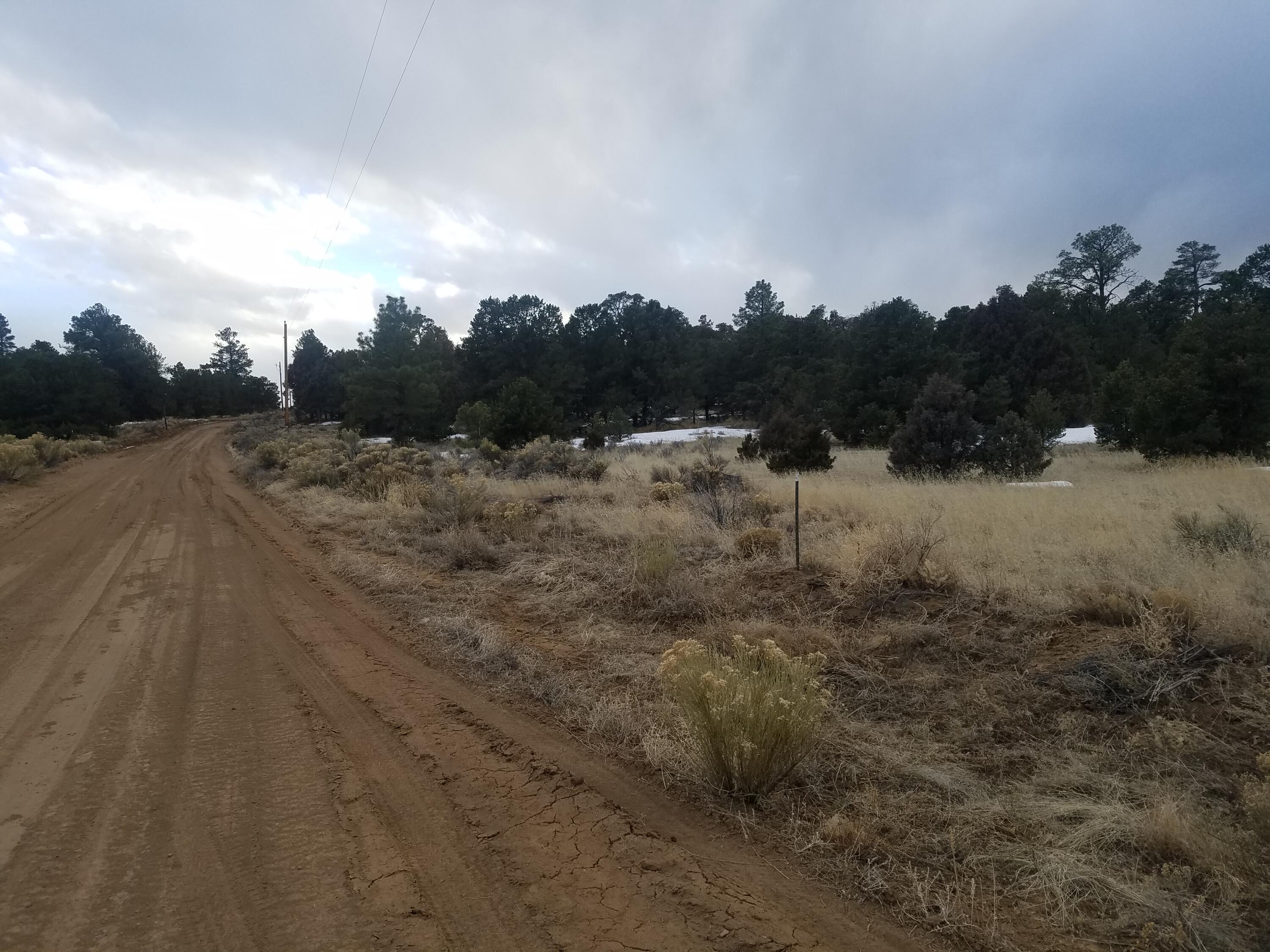 12 And 13 Ranchero Rd., Pie Town, New Mexico image 15