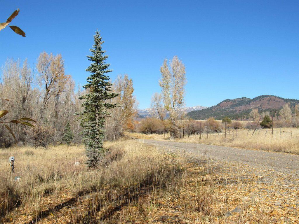 Sunflower Drive, Chama, New Mexico image 1