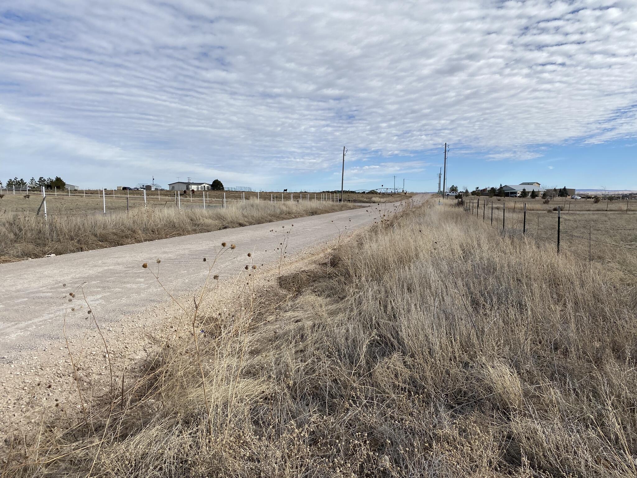 Thompson Road, Moriarty, New Mexico image 8