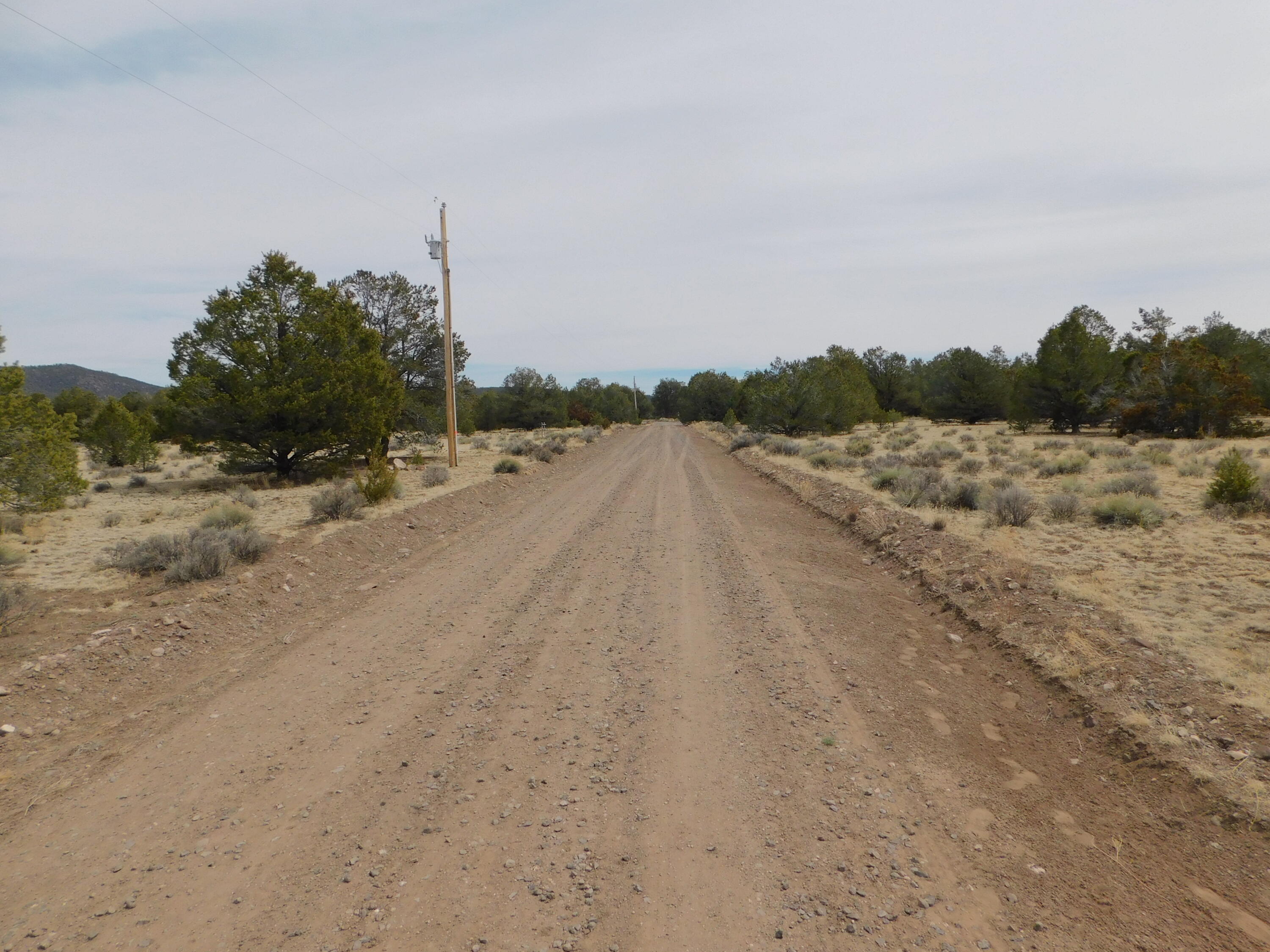 Gila Drive, Quemado, New Mexico image 11