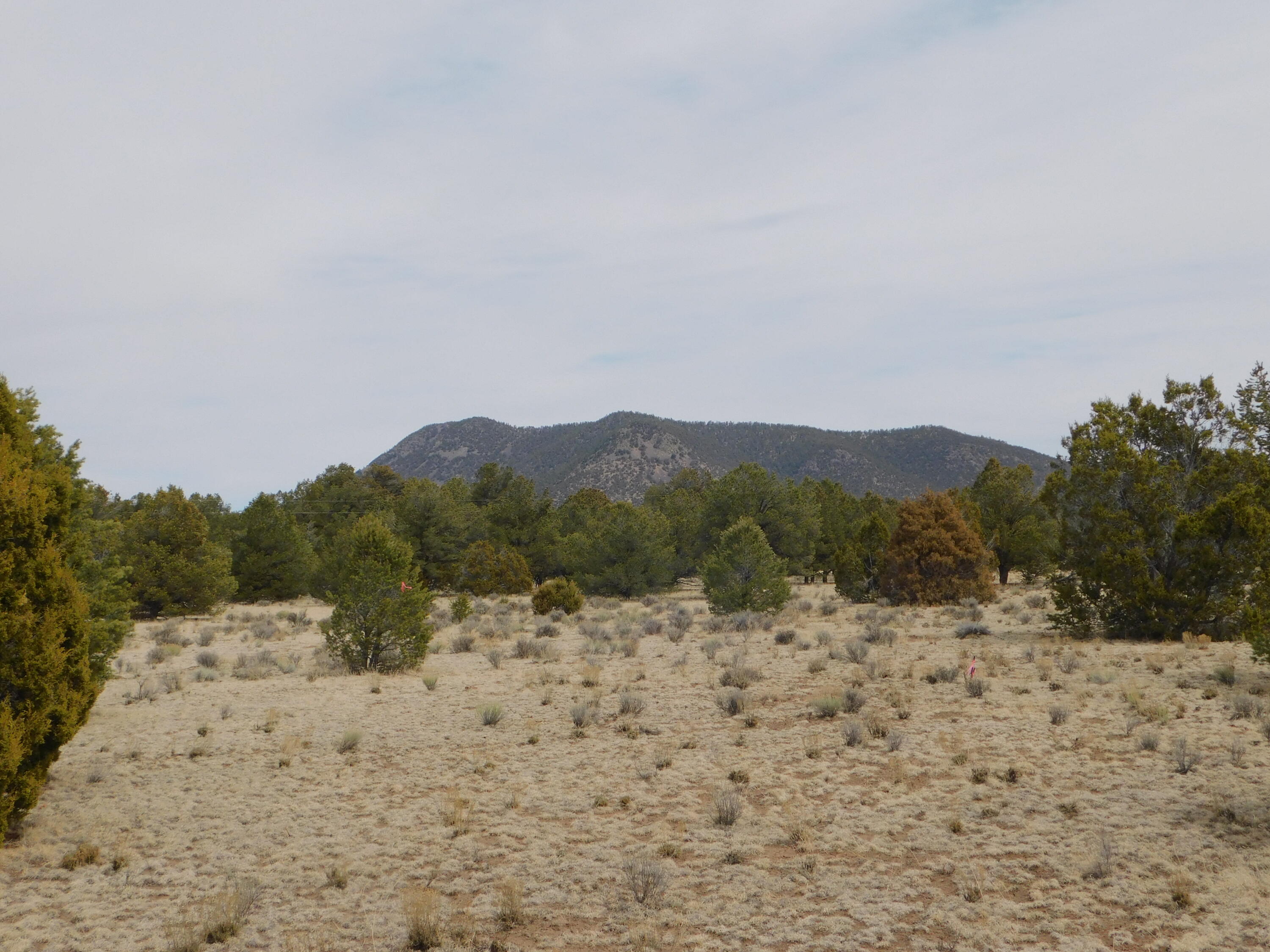 Gila Drive, Quemado, New Mexico image 3