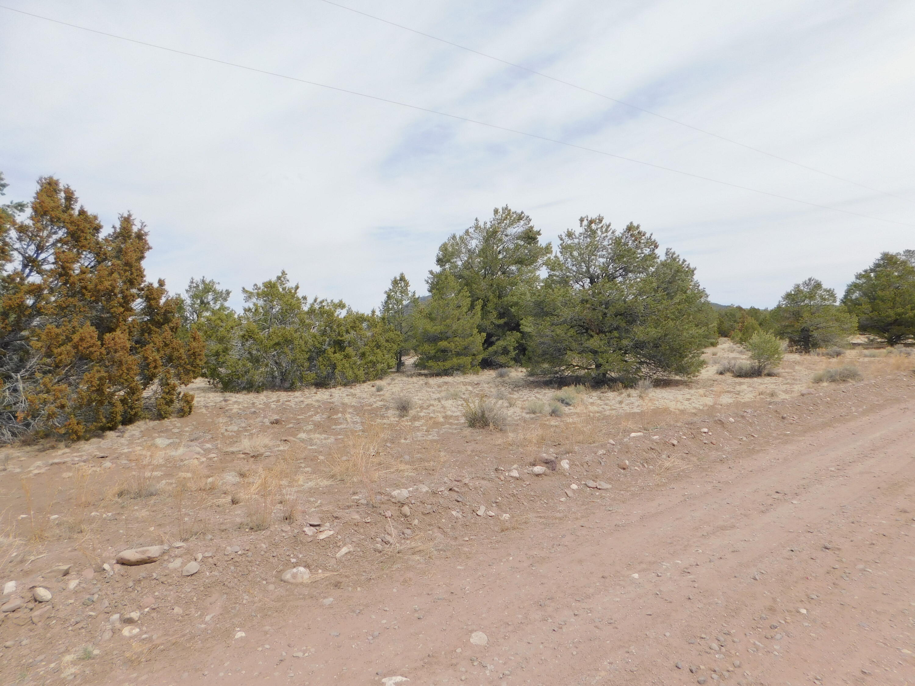 Gila Drive, Quemado, New Mexico image 2