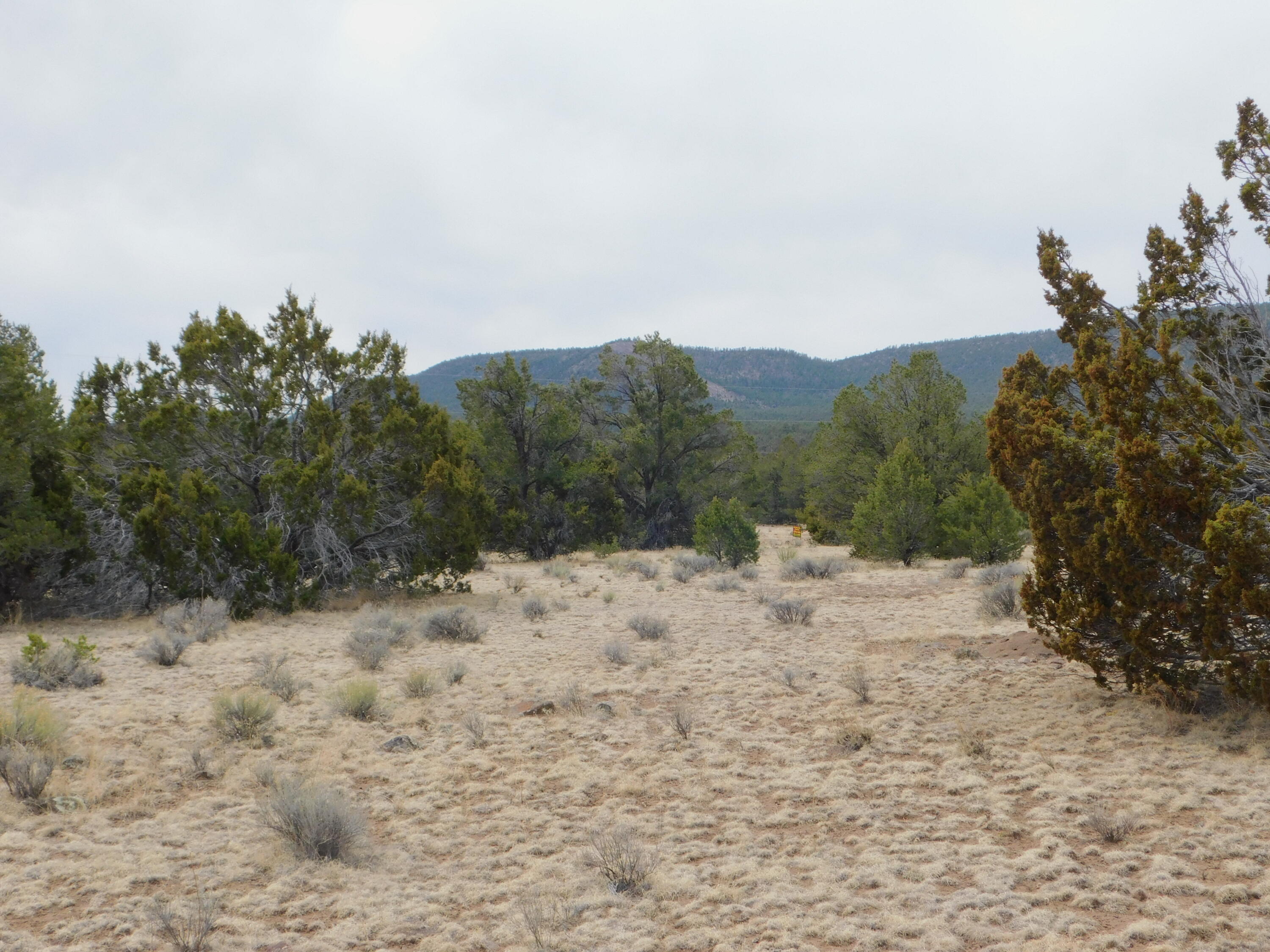 Gila Drive, Quemado, New Mexico image 4