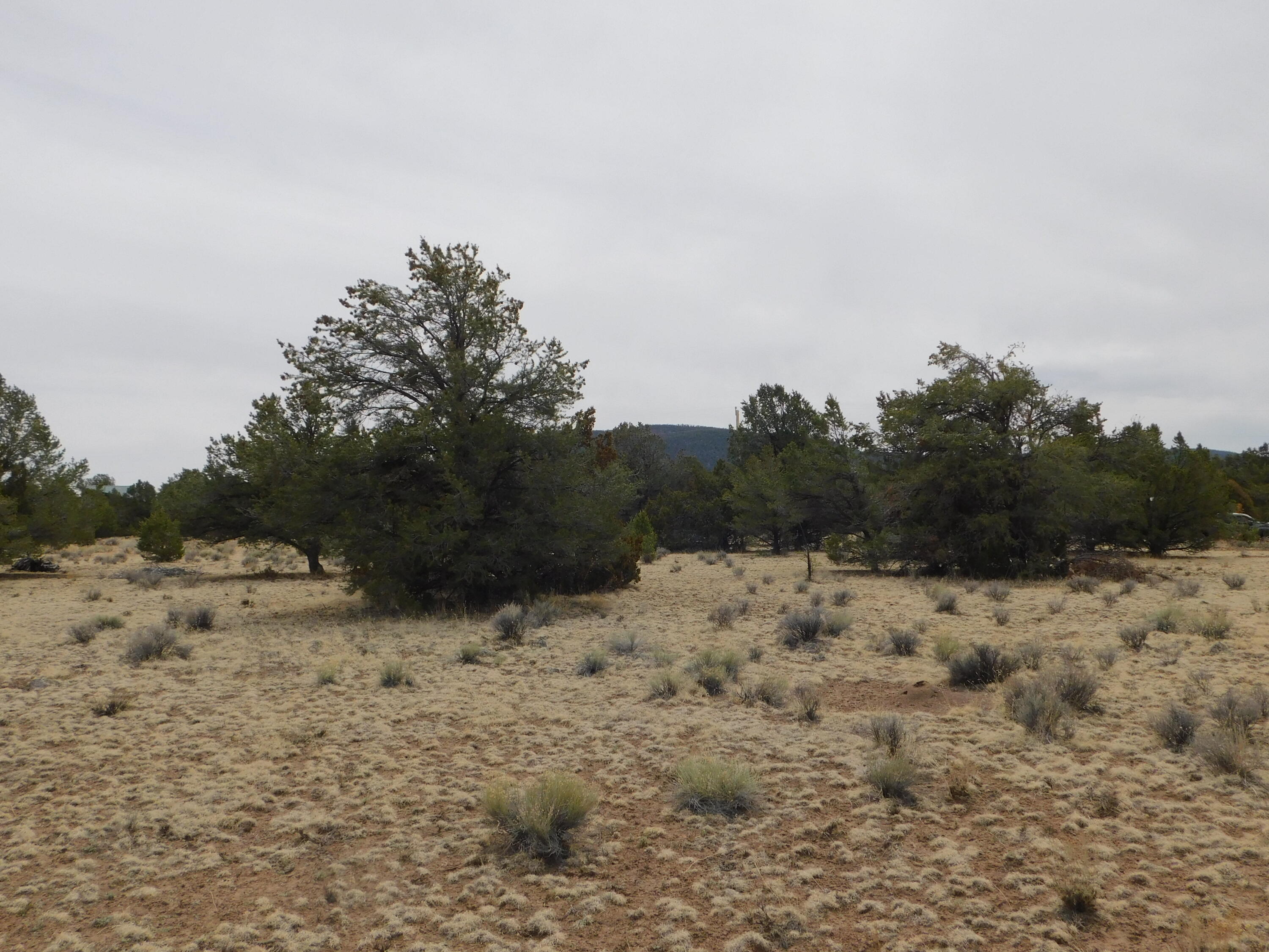 Gila Drive, Quemado, New Mexico image 10
