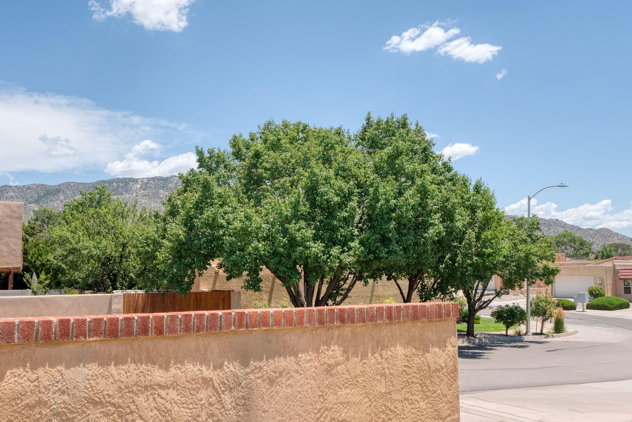 1415 Cumbres Street, Albuquerque, New Mexico image 4