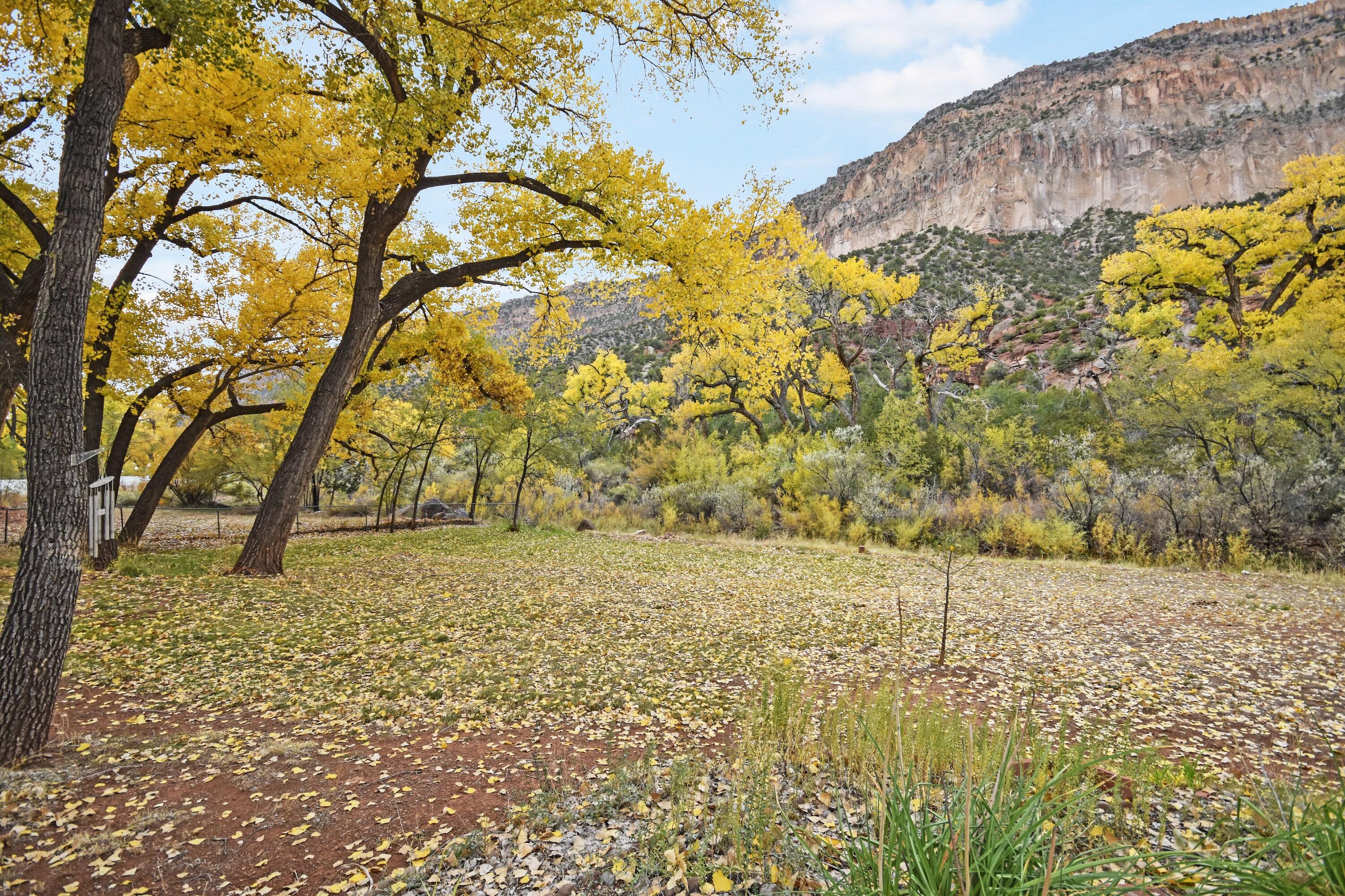 15893 Highway 4, Jemez Springs, New Mexico image 44