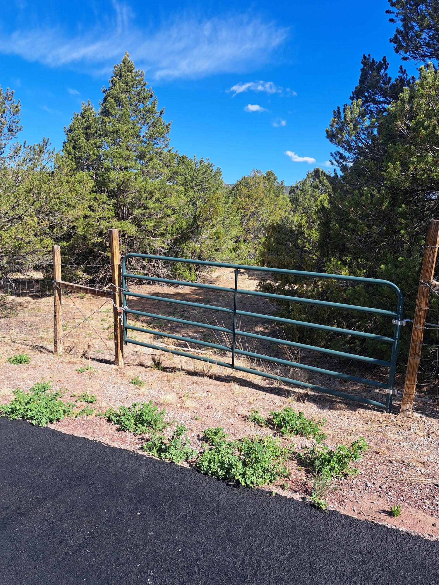 165 Juan Tomas Road, Tijeras, New Mexico image 1