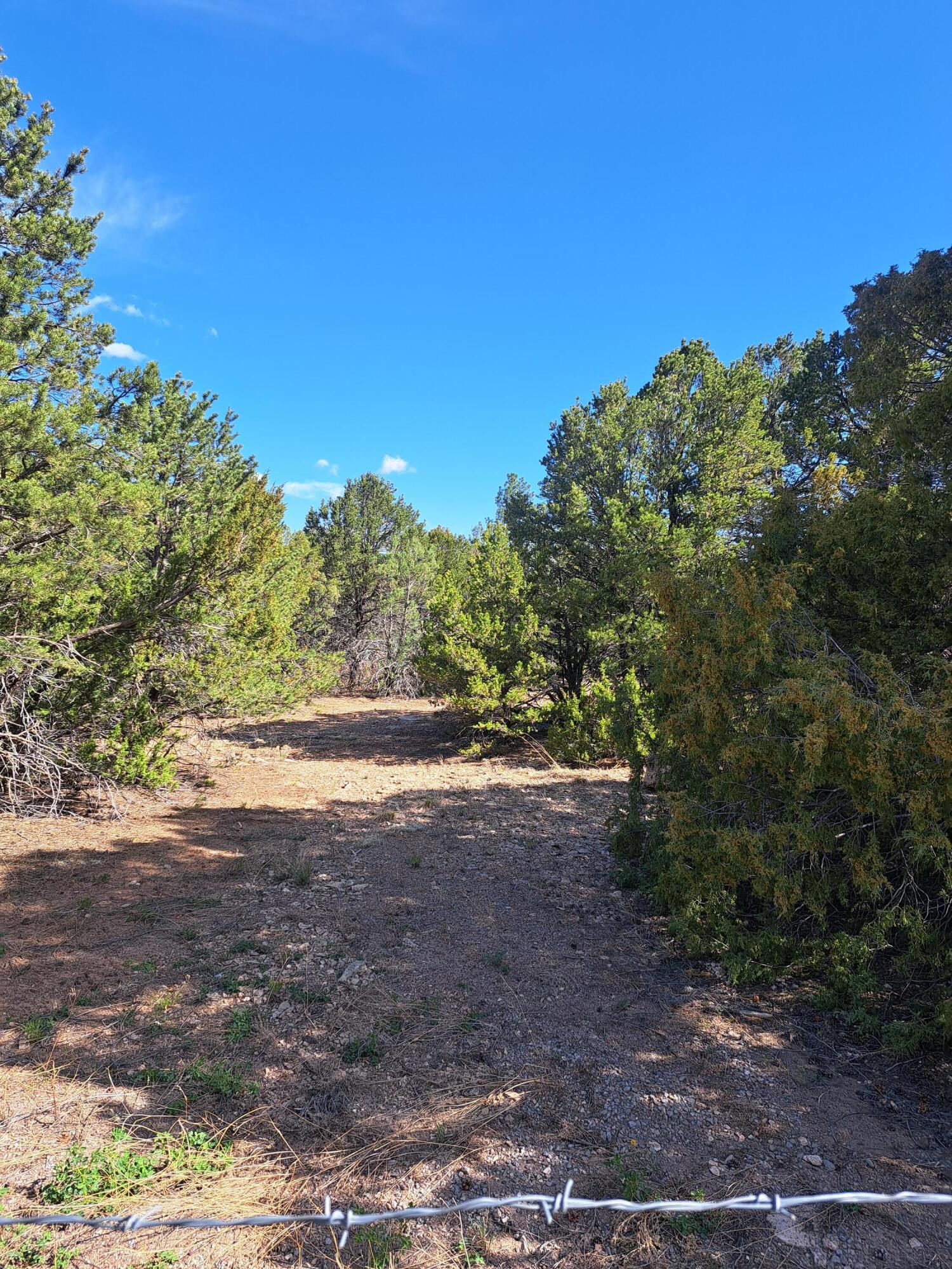 165 Juan Tomas Road, Tijeras, New Mexico image 2