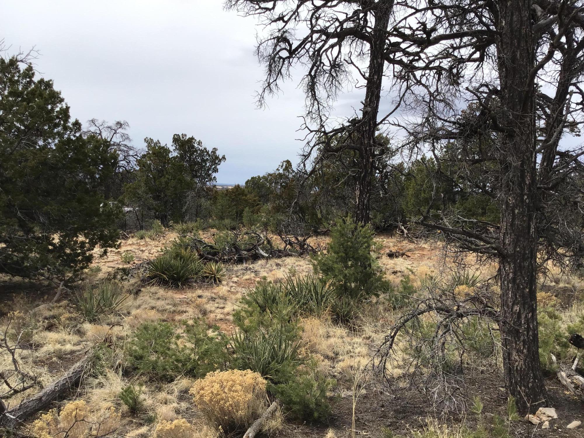 Lot 585 Betty Lane, Ramah, New Mexico image 13
