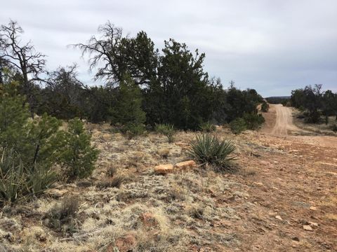 Vacant Land For Sale - LOT 585 Betty Lane<br/> Ramah, NM 87321