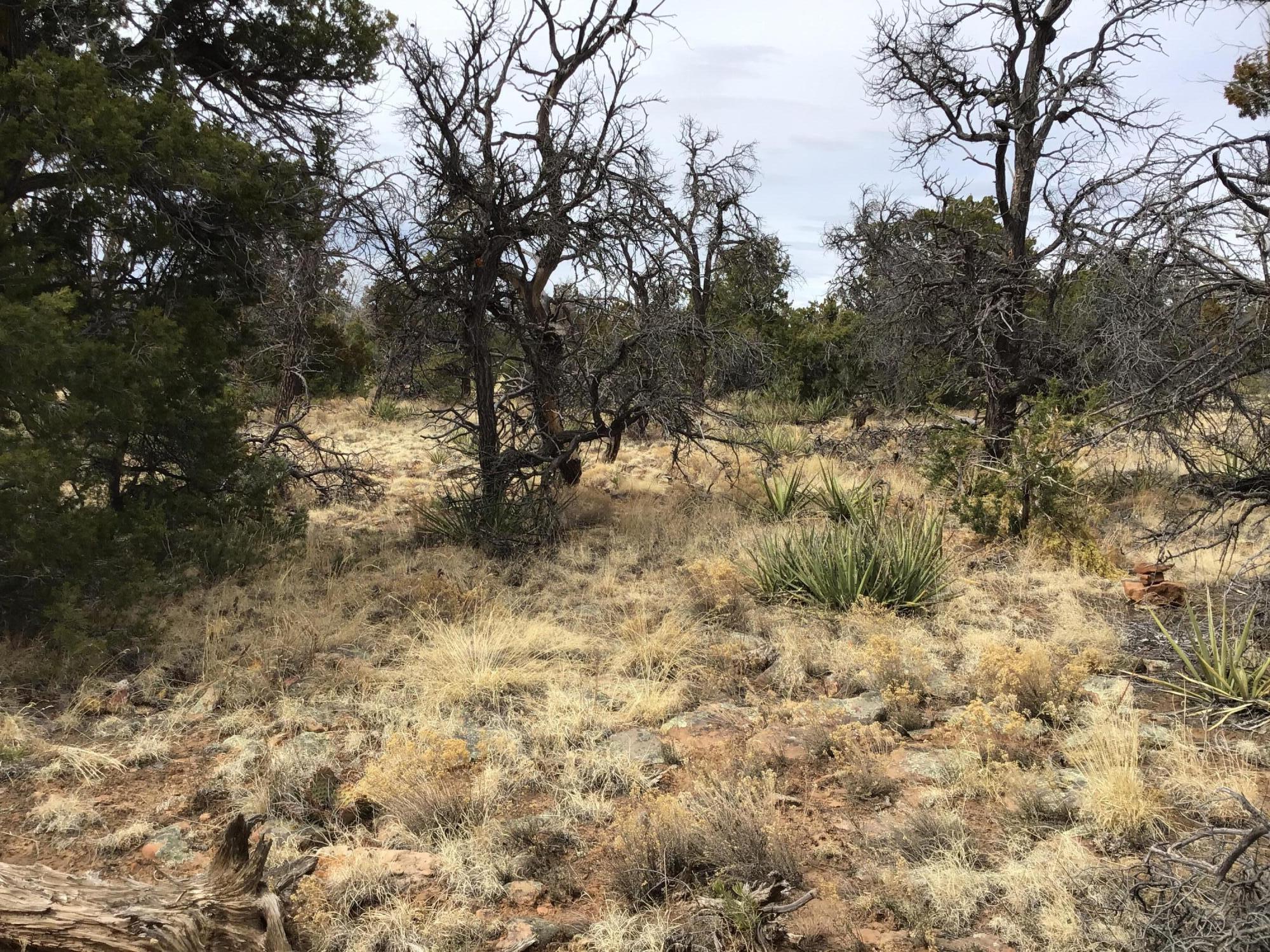 Lot 585 Betty Lane, Ramah, New Mexico image 9