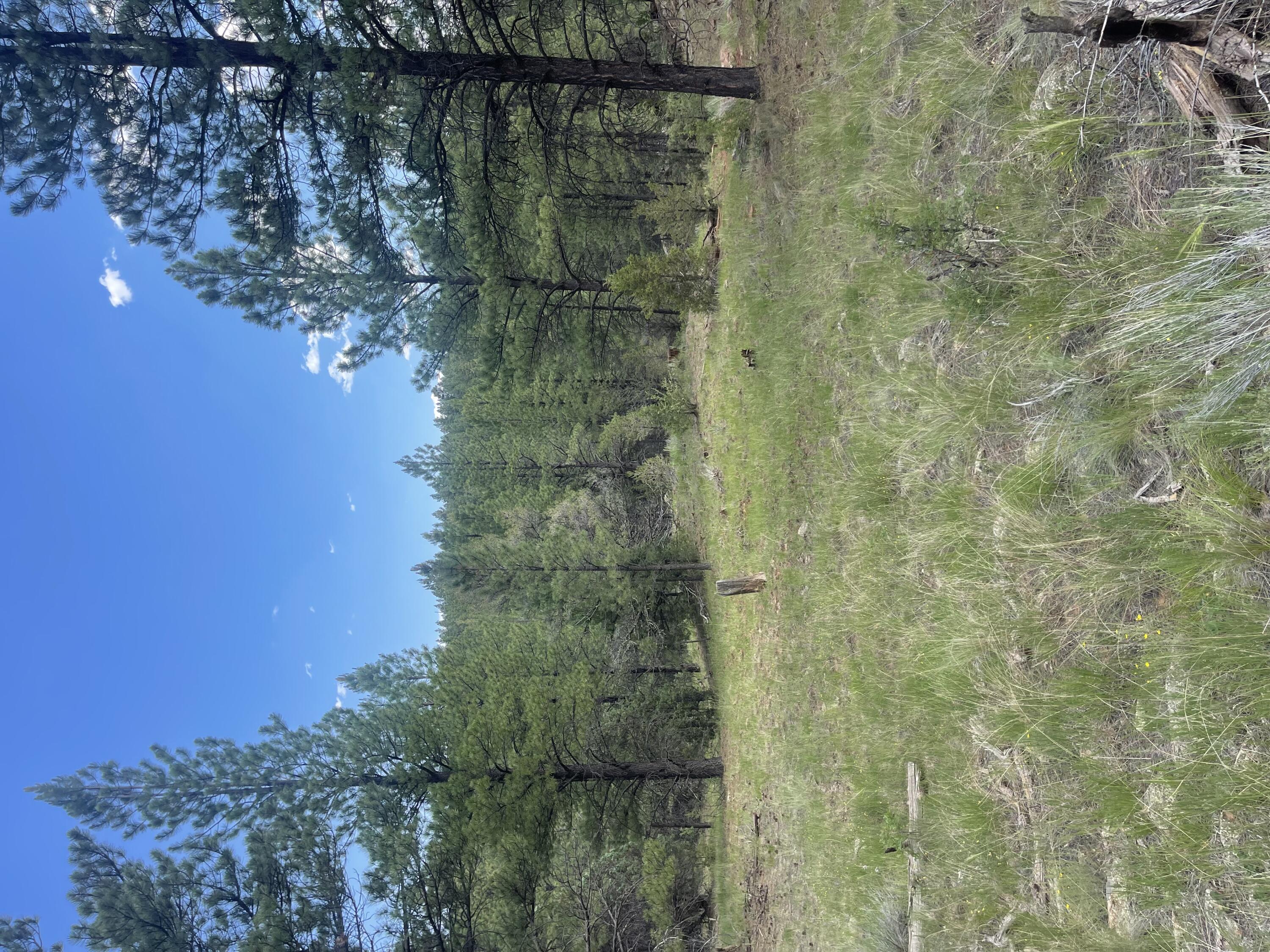 Lot 44 Sunflower Drive, Ramah, New Mexico image 33