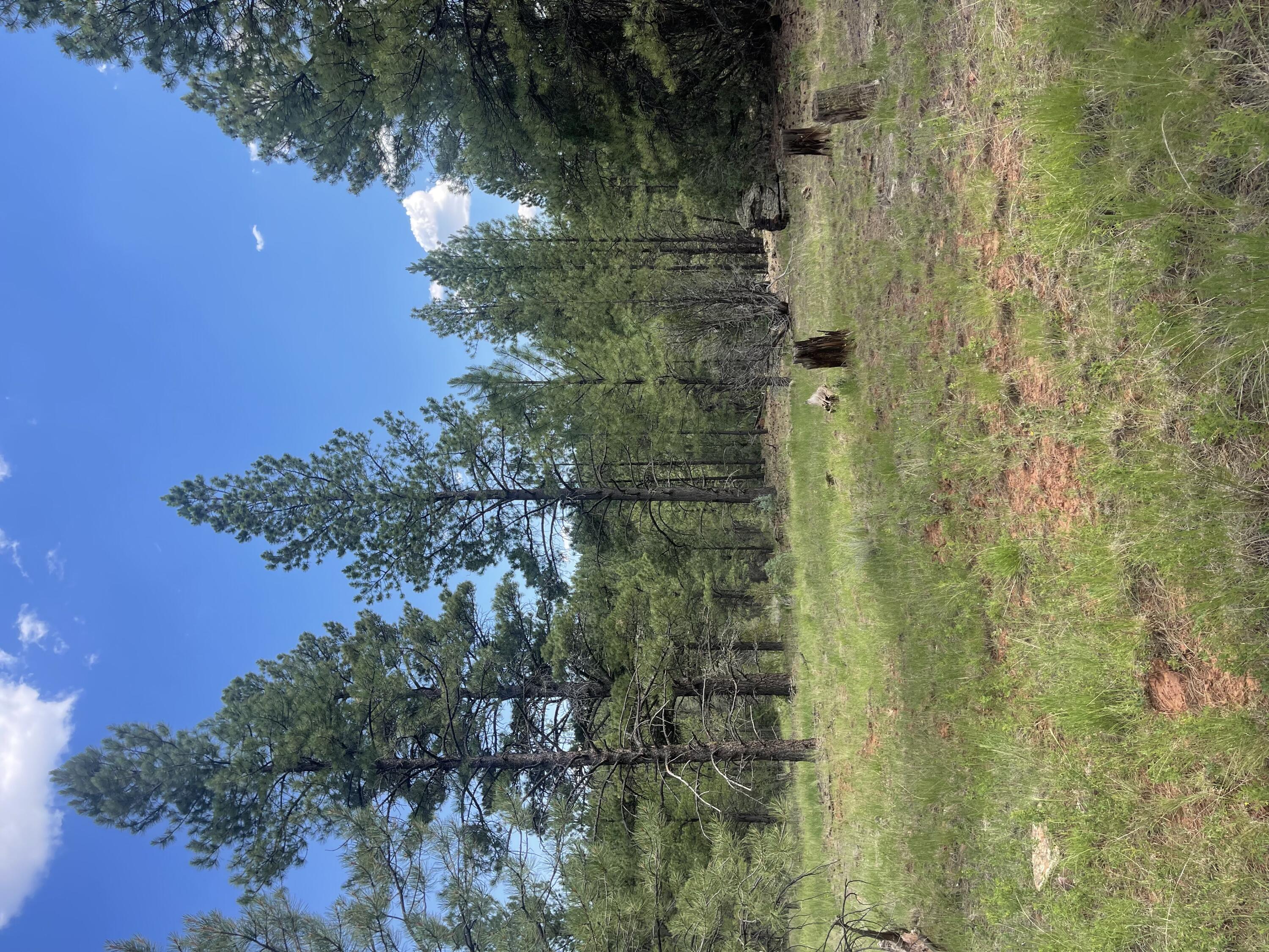 Lot 44 Sunflower Drive, Ramah, New Mexico image 32