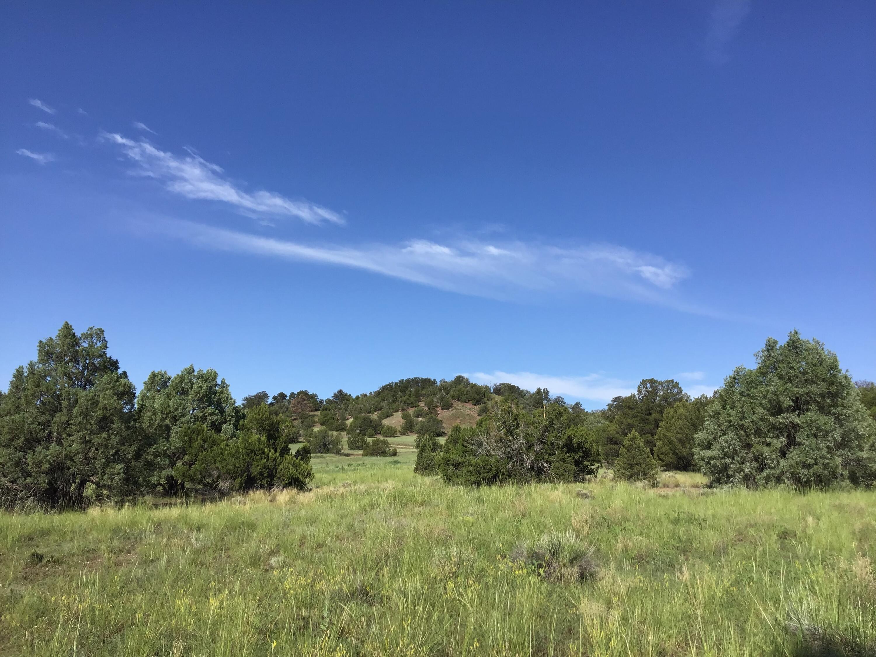 Lot 44 Sunflower Drive, Ramah, New Mexico image 6