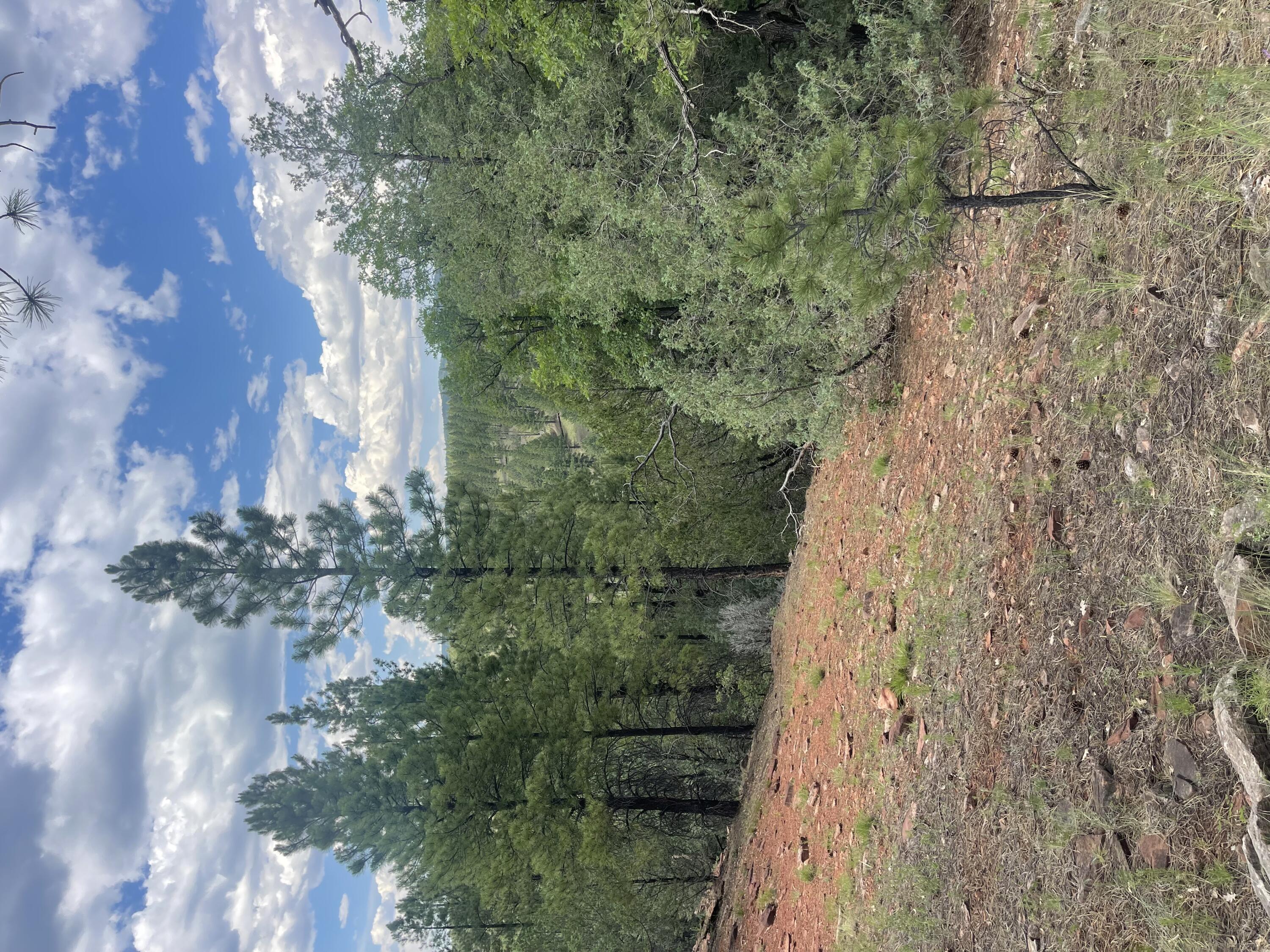 Lot 44 Sunflower Drive, Ramah, New Mexico image 23