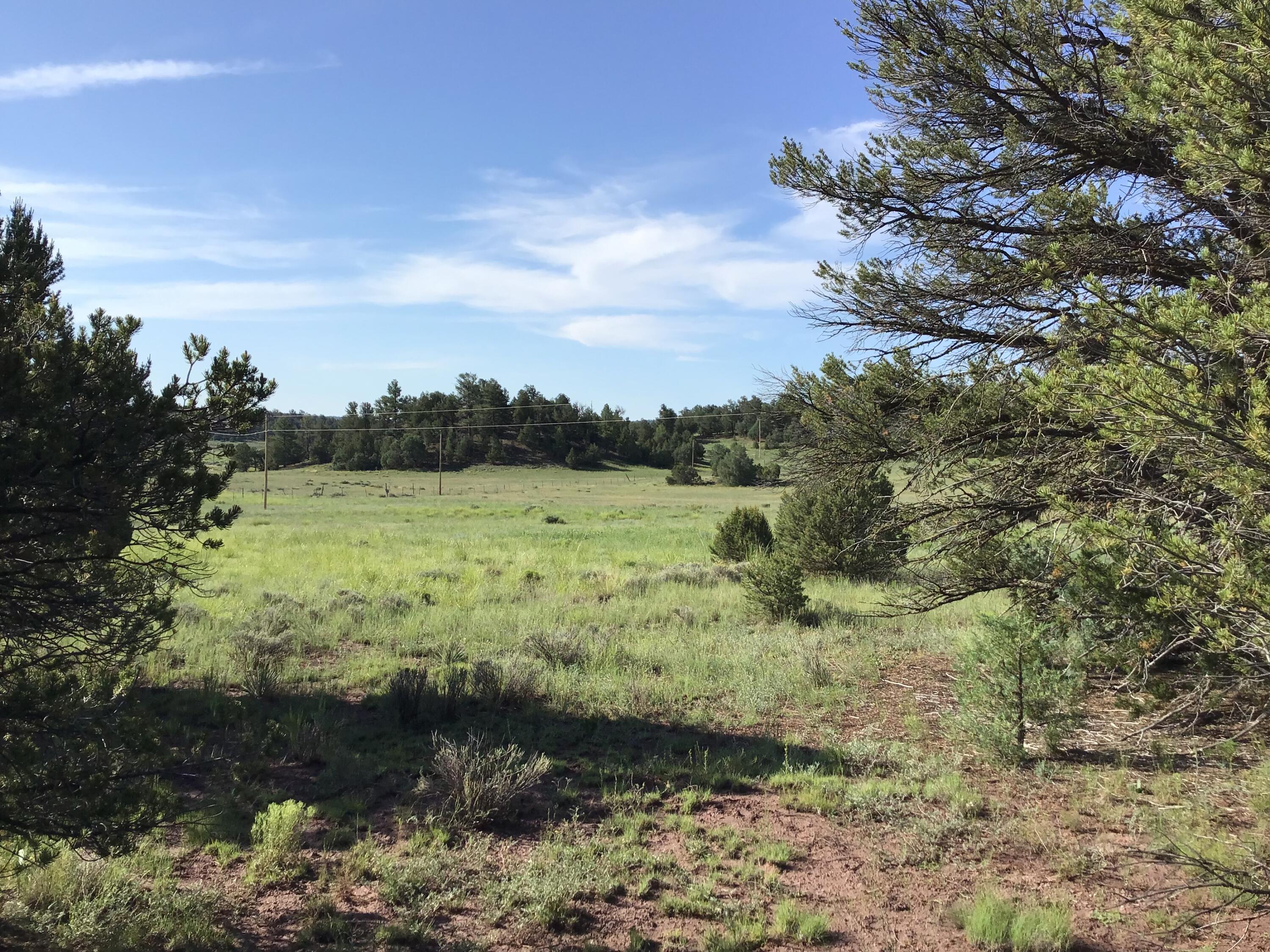 Lot 44 Sunflower Drive, Ramah, New Mexico image 5