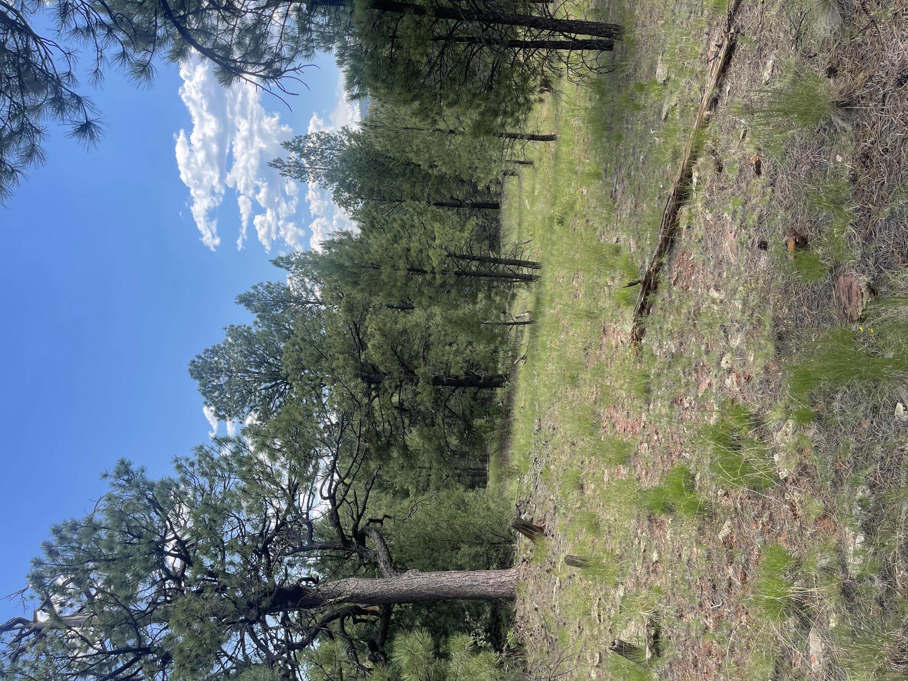 Lot 44 Sunflower Drive, Ramah, New Mexico image 18