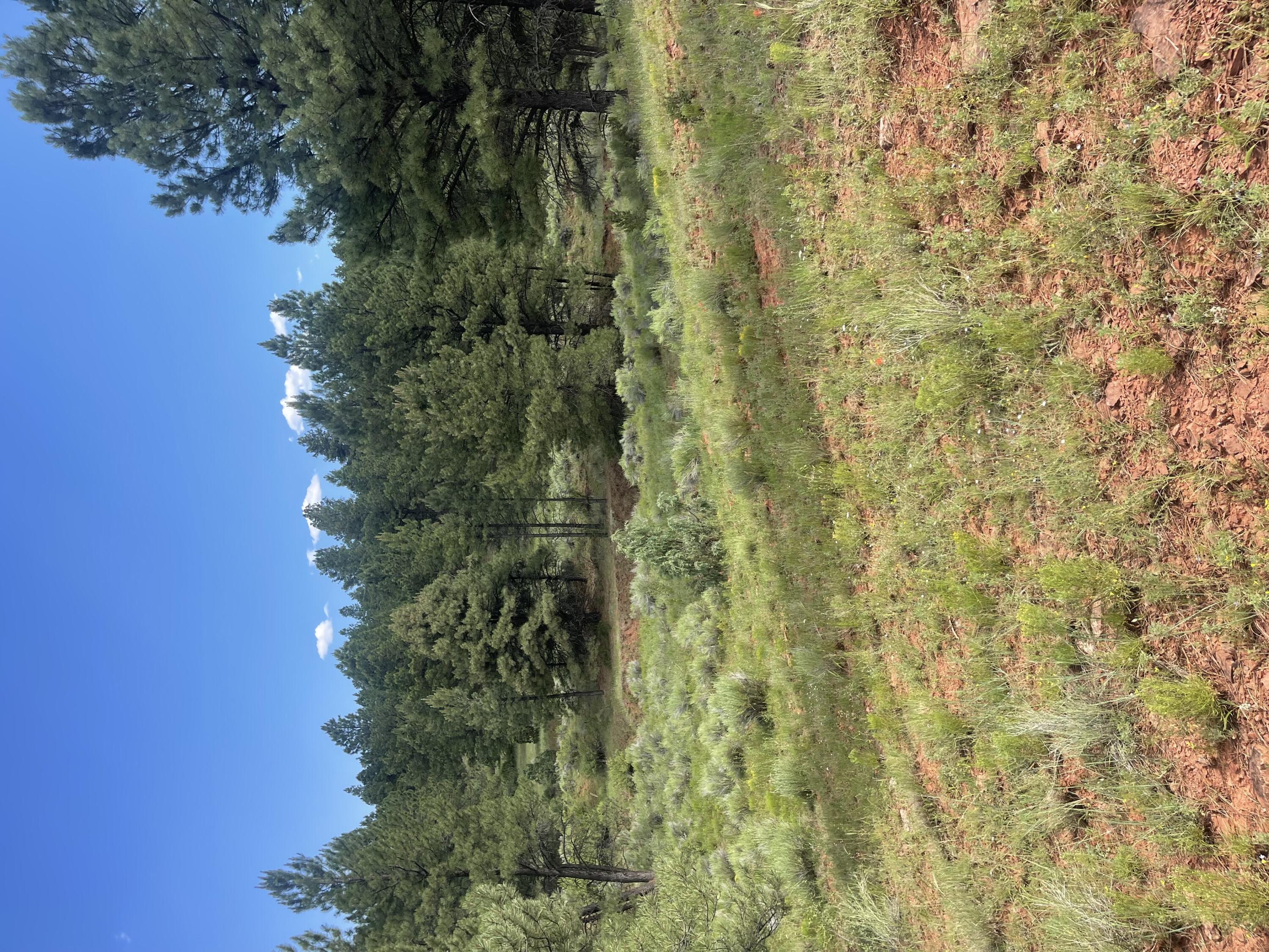 Lot 44 Sunflower Drive, Ramah, New Mexico image 38