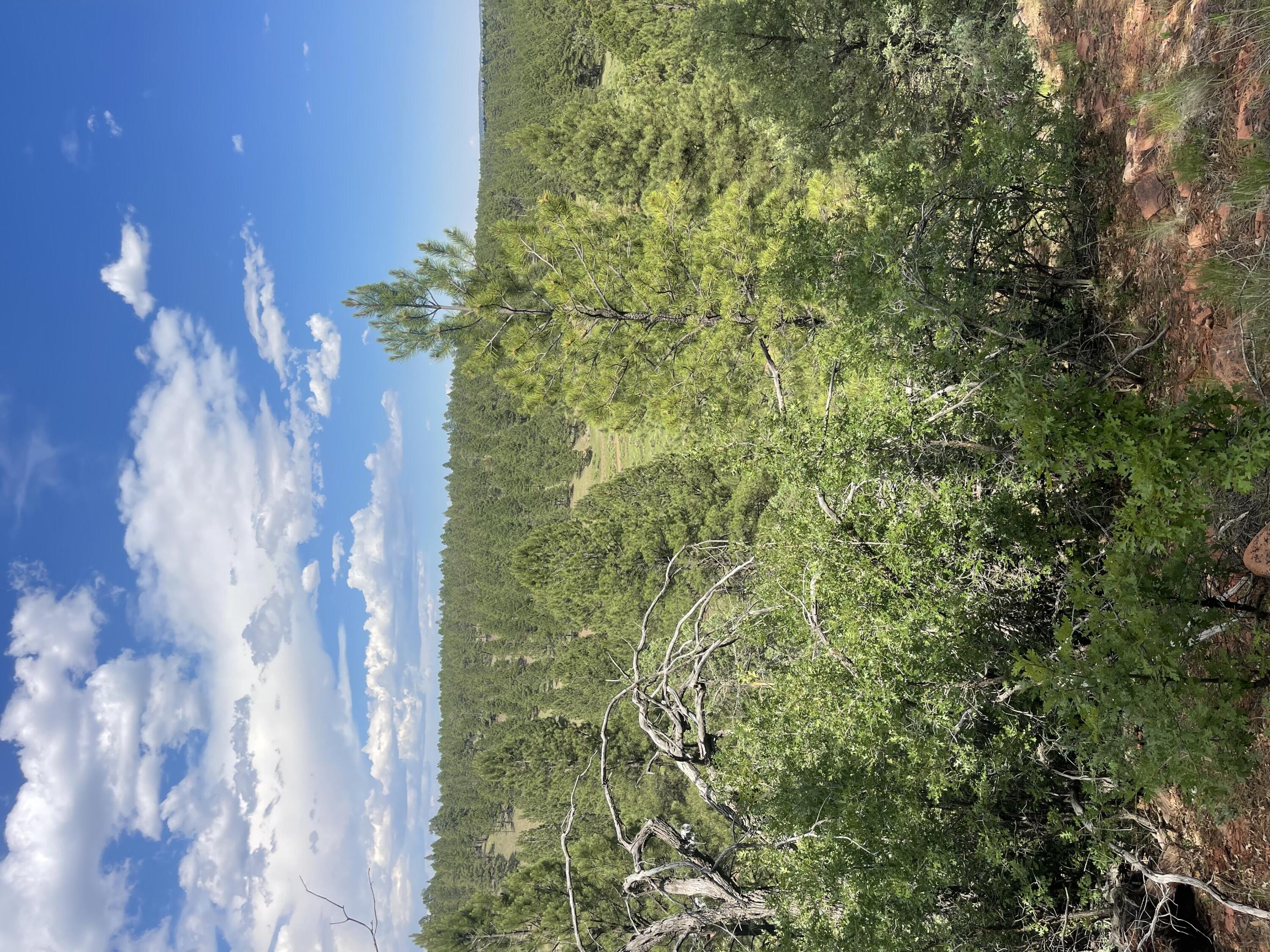 Lot 44 Sunflower Drive, Ramah, New Mexico image 12