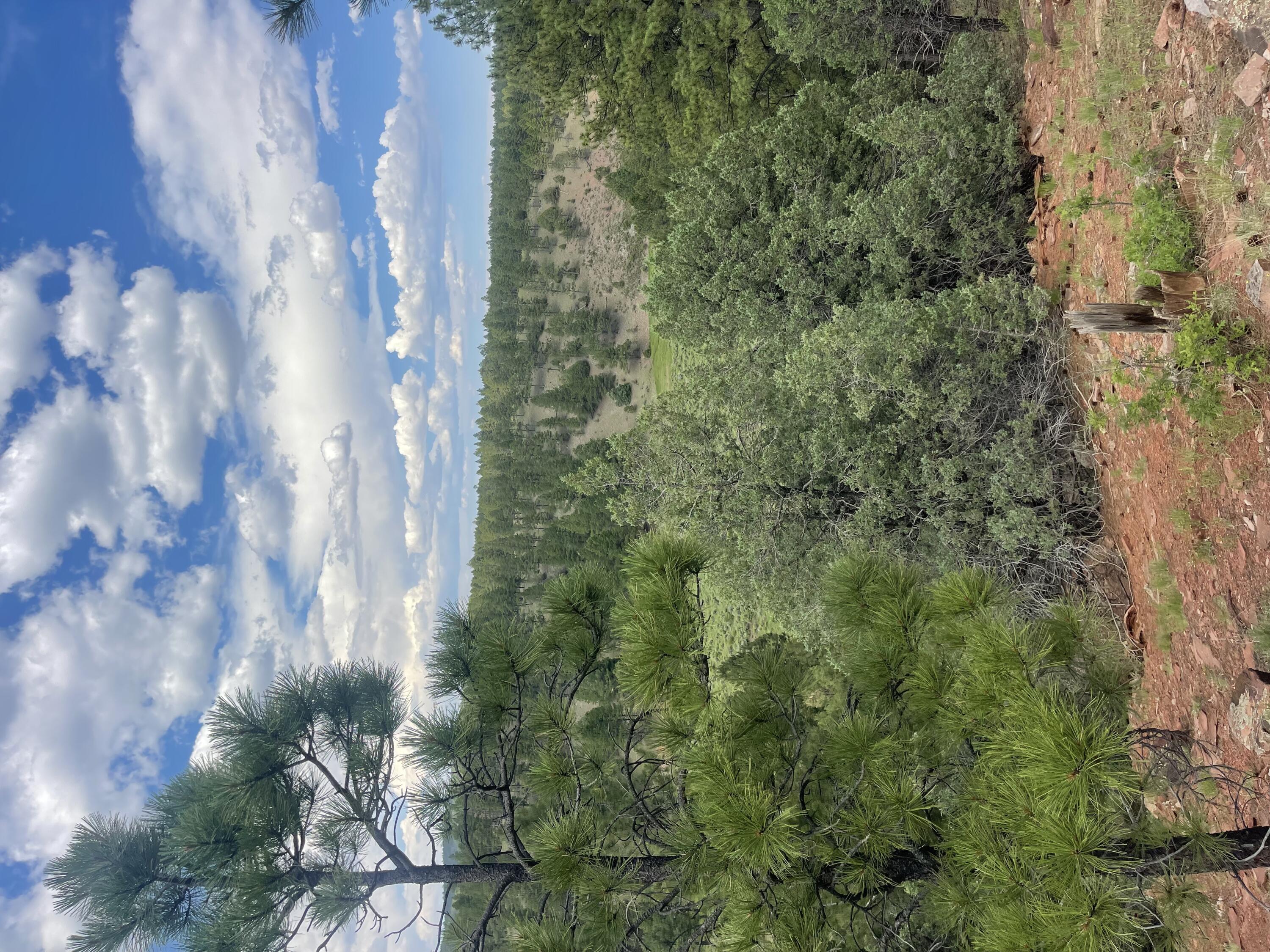 Lot 44 Sunflower Drive, Ramah, New Mexico image 28