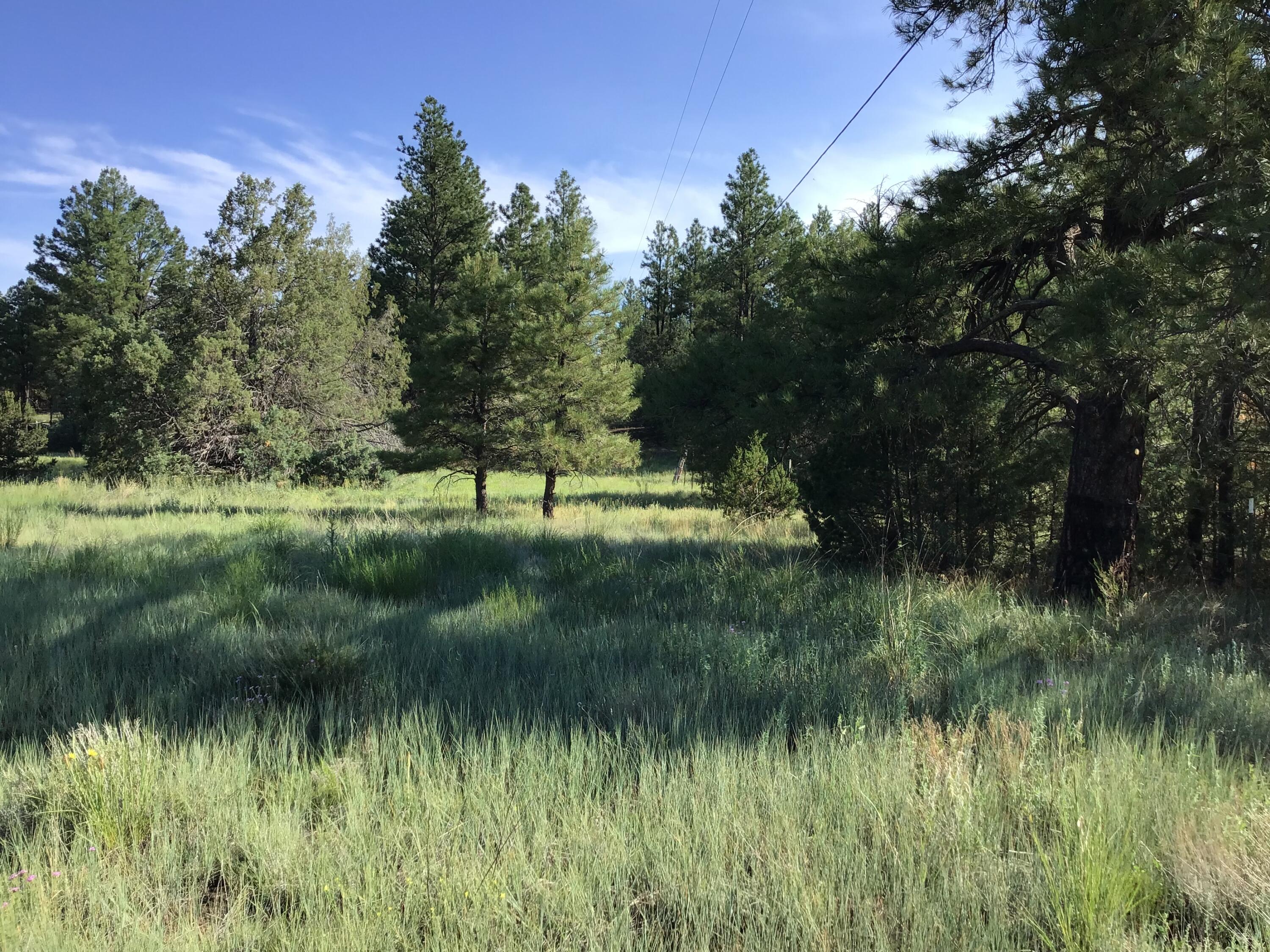 Lot 44 Sunflower Drive, Ramah, New Mexico image 7