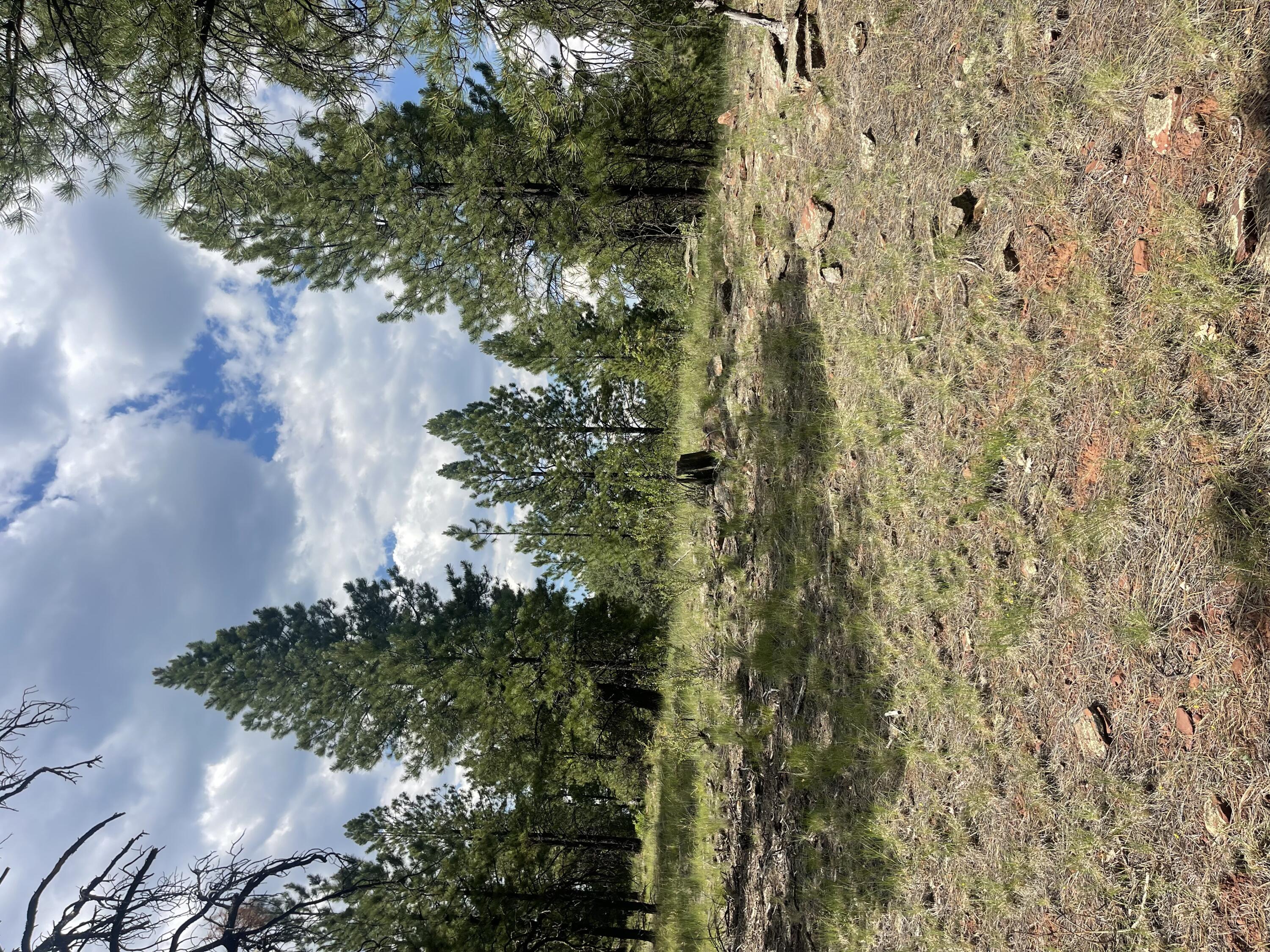 Lot 44 Sunflower Drive, Ramah, New Mexico image 15