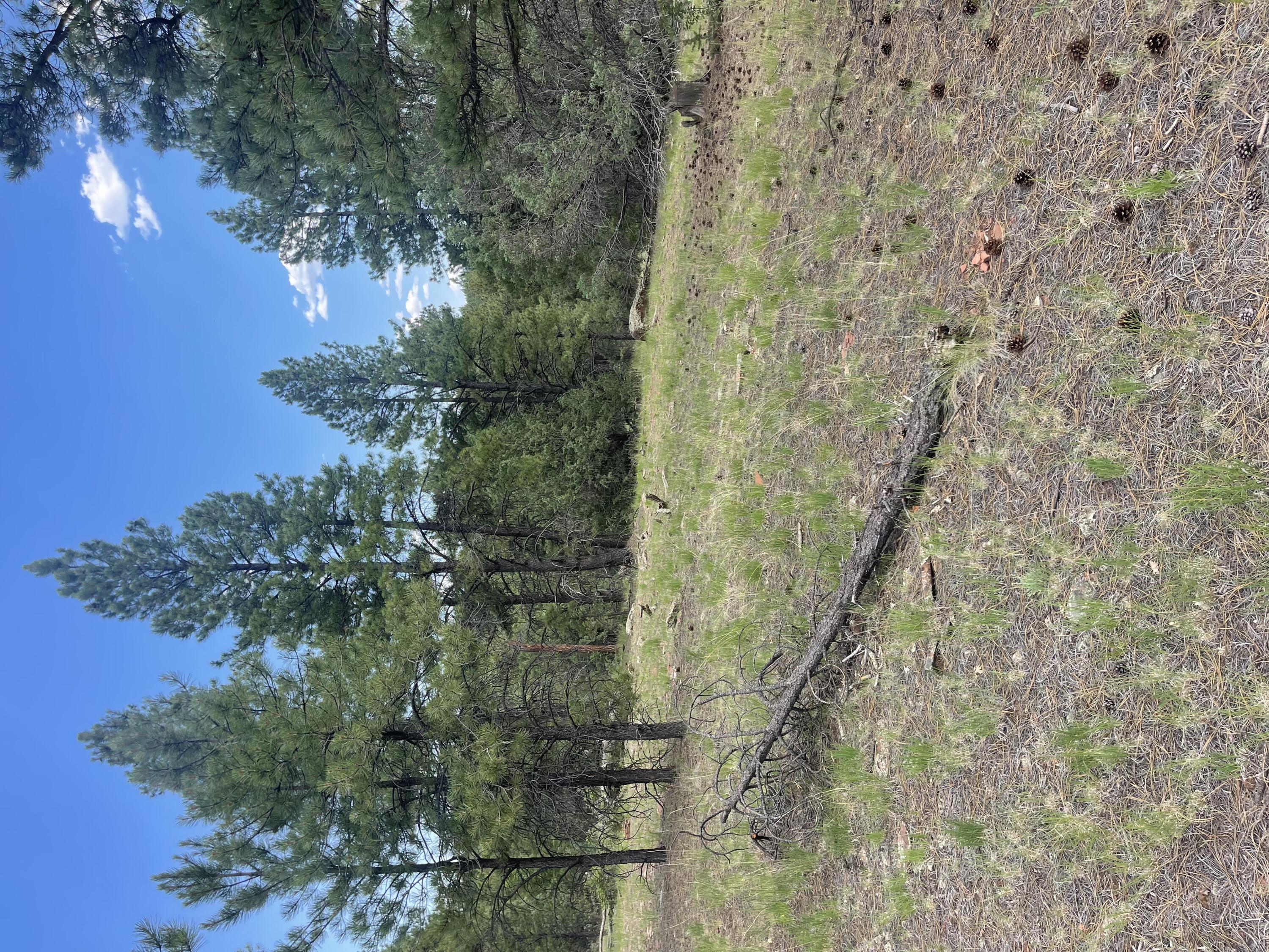 Lot 44 Sunflower Drive, Ramah, New Mexico image 26