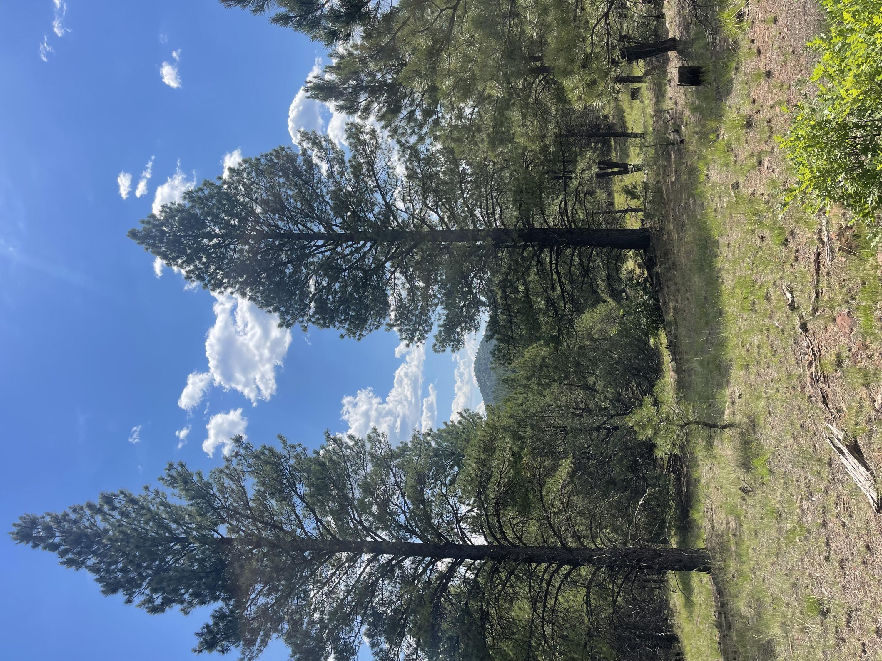 Lot 44 Sunflower Drive, Ramah, New Mexico image 14