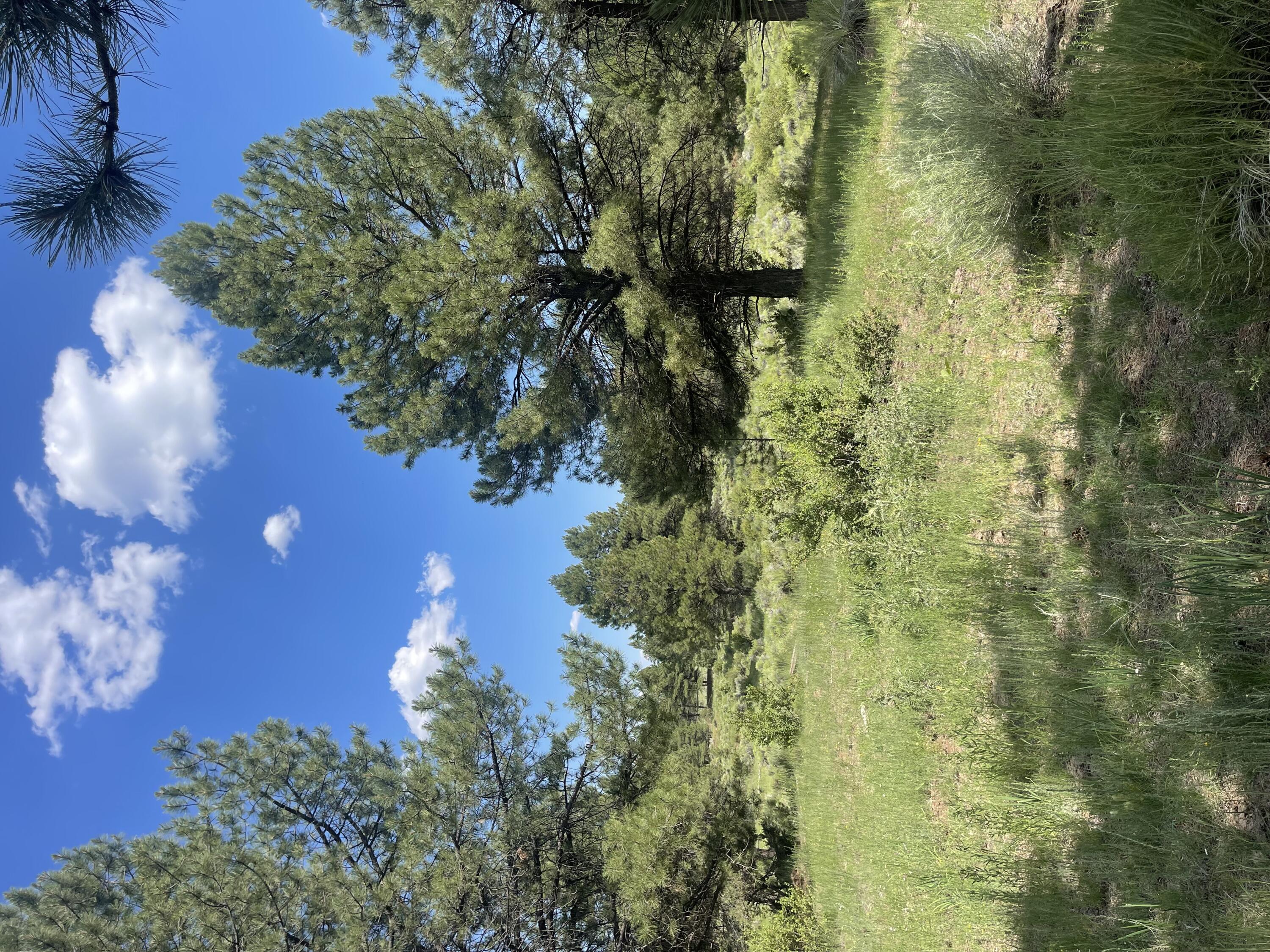 Lot 44 Sunflower Drive, Ramah, New Mexico image 9