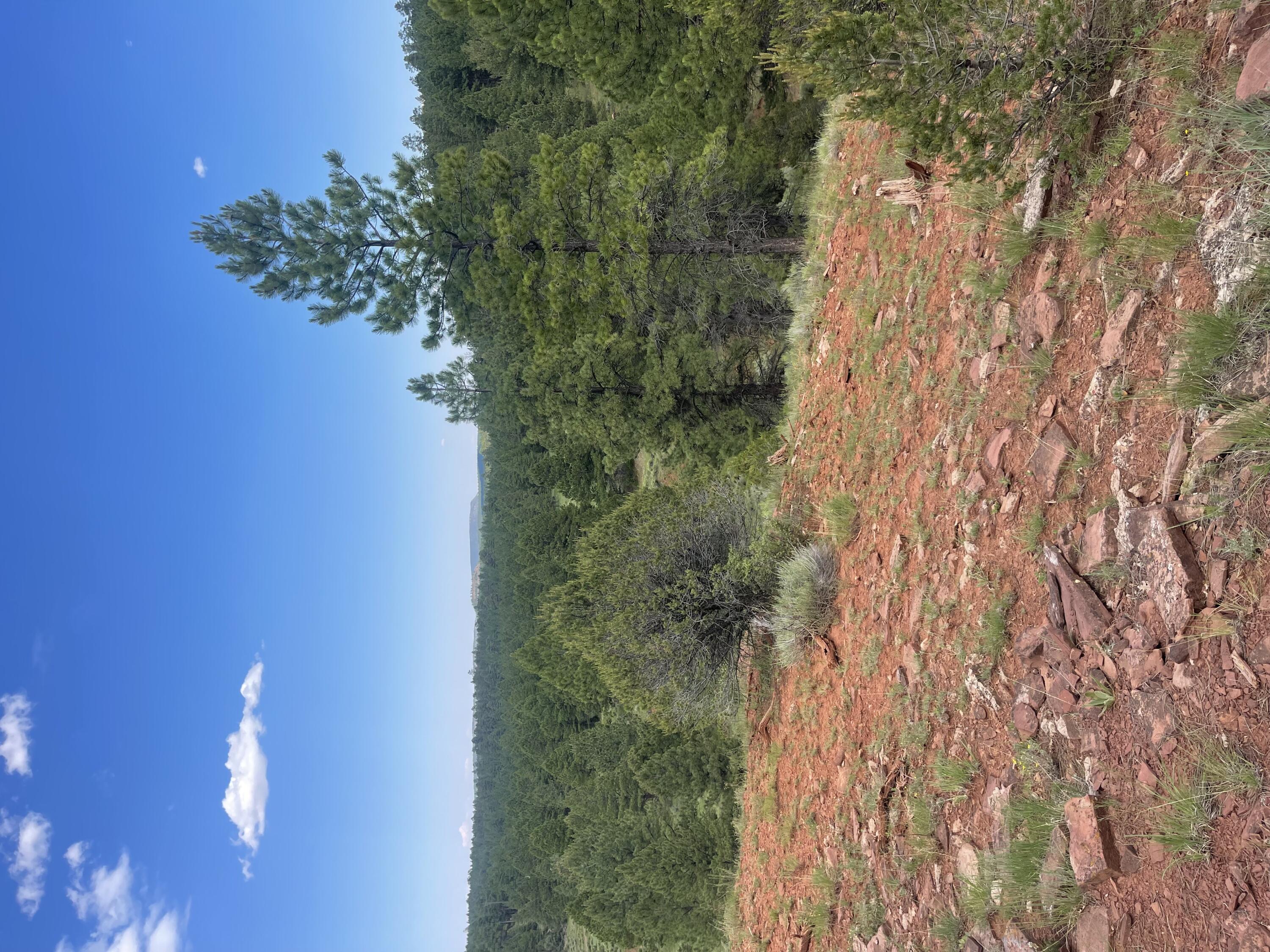 Lot 44 Sunflower Drive, Ramah, New Mexico image 36