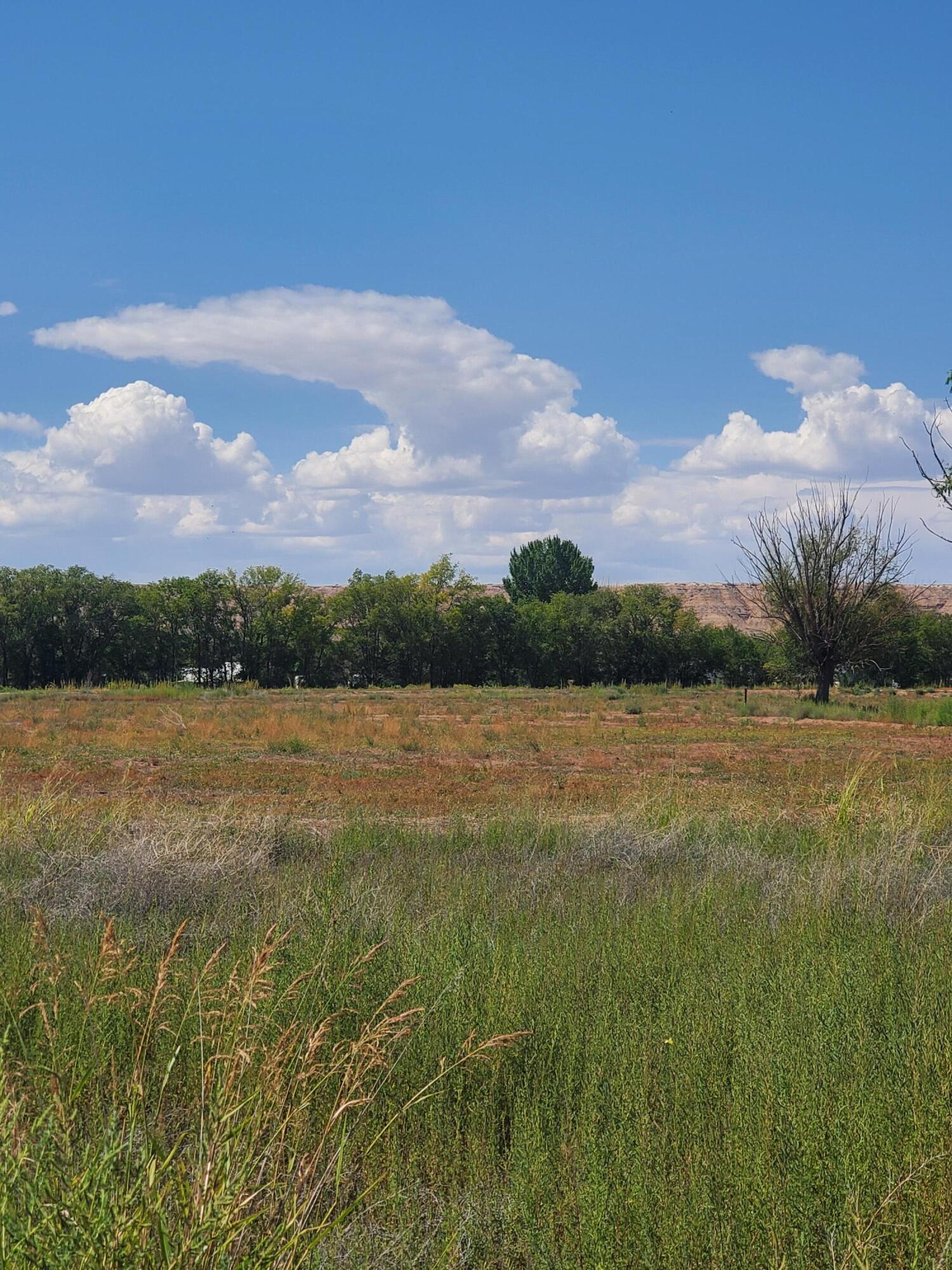 00 Flora D Court, Bosque, New Mexico image 2