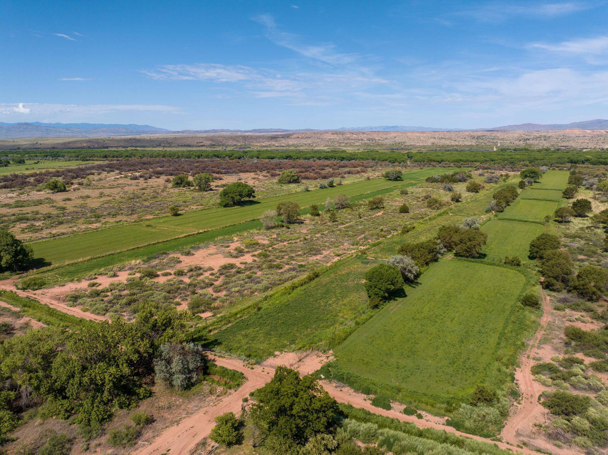 165 W Calle De Centro, La Joya, New Mexico image 10