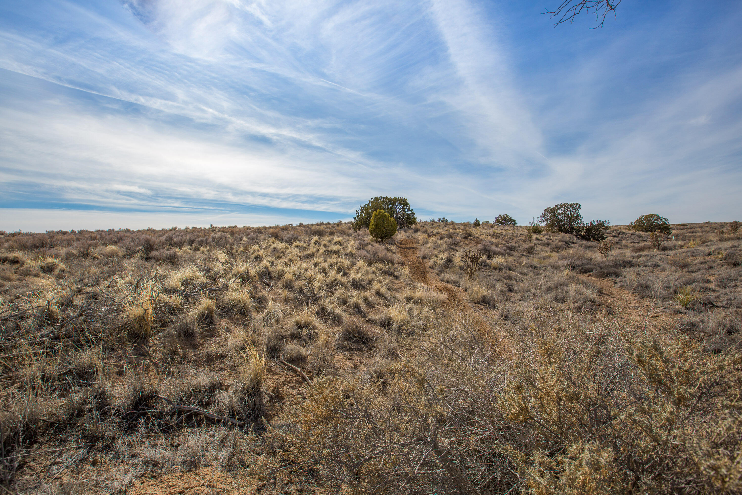 17th Avenue, Rio Rancho, New Mexico image 2