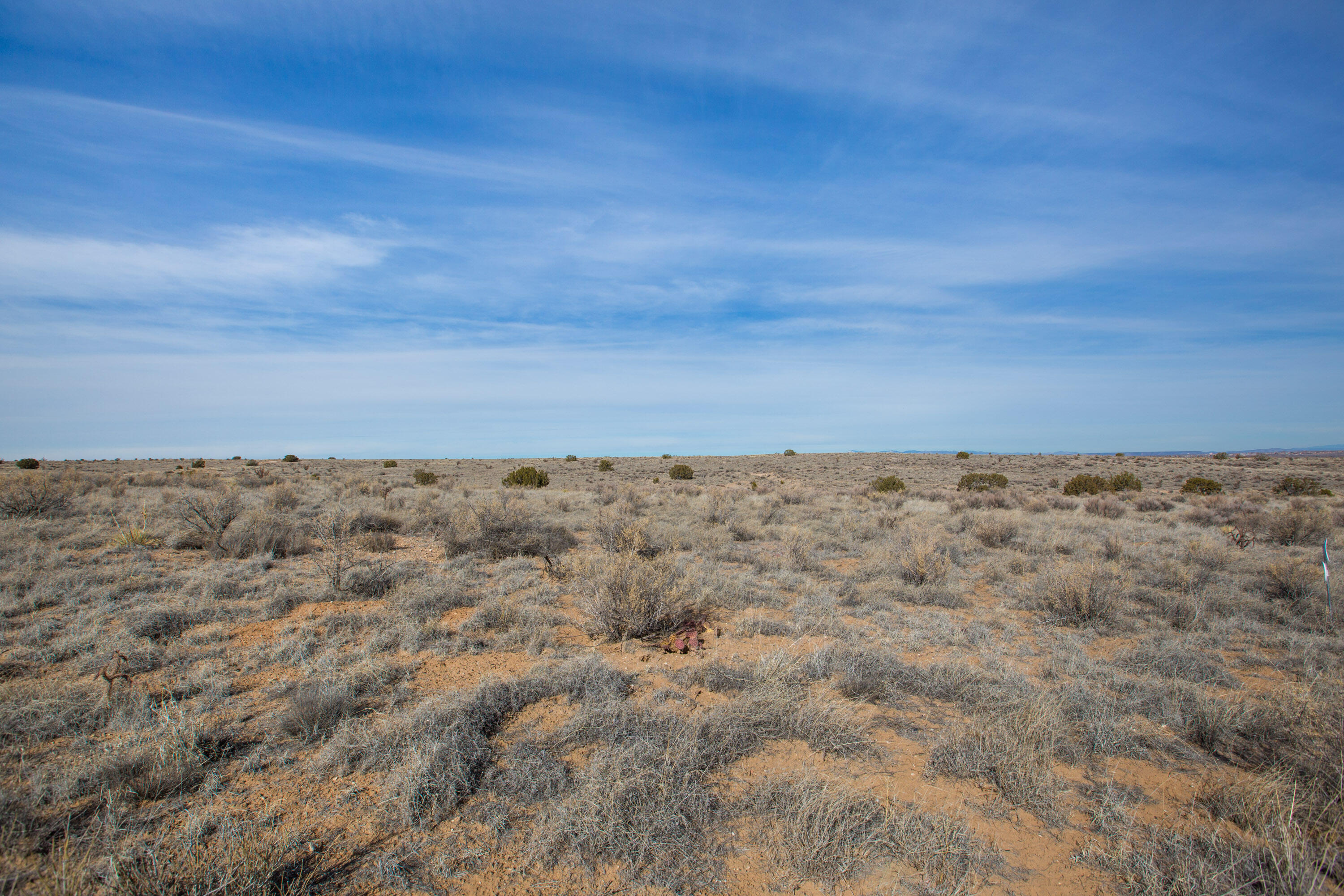 17th Avenue, Rio Rancho, New Mexico image 4