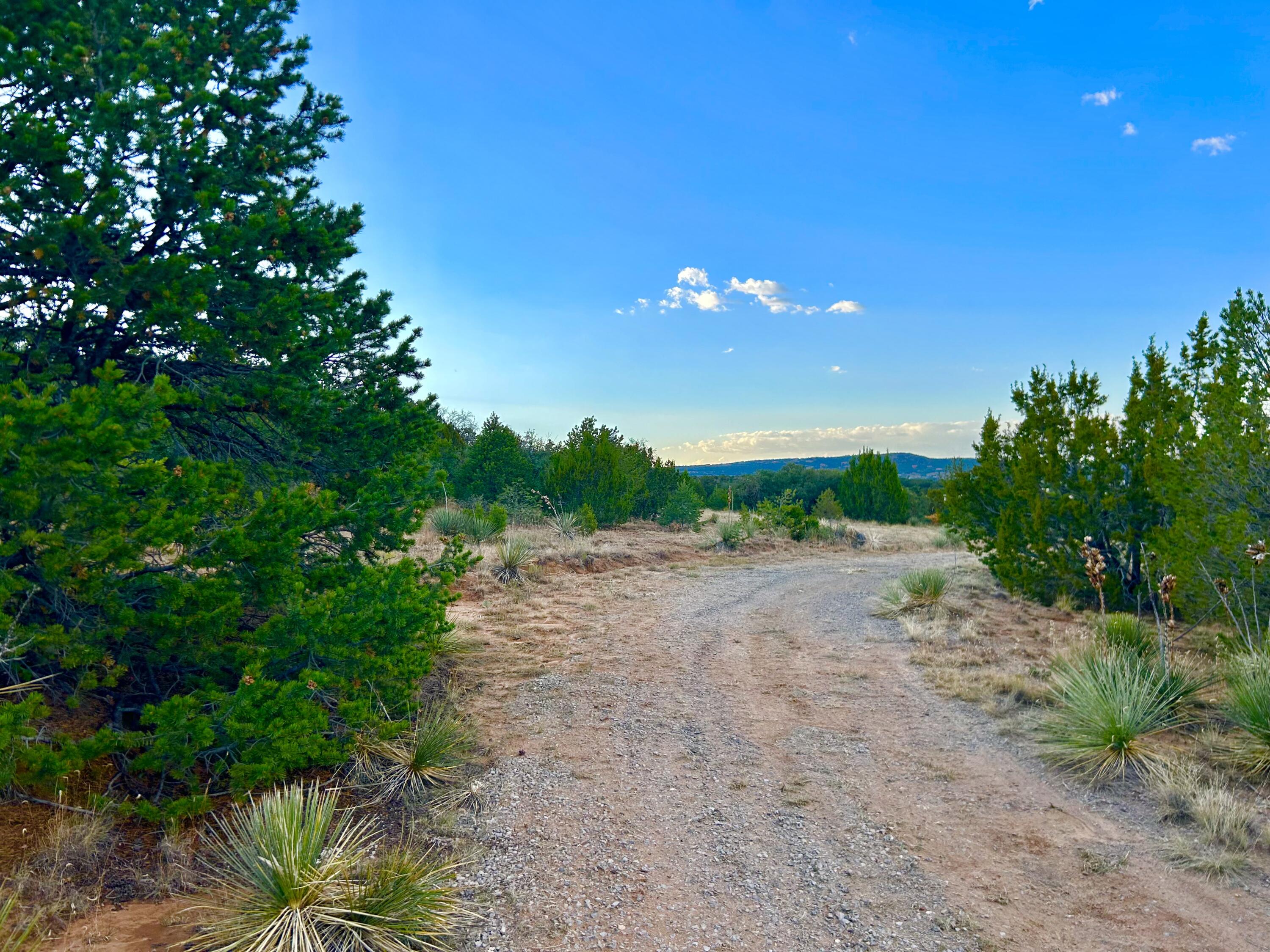 56 Thomas Road, Edgewood, New Mexico image 6