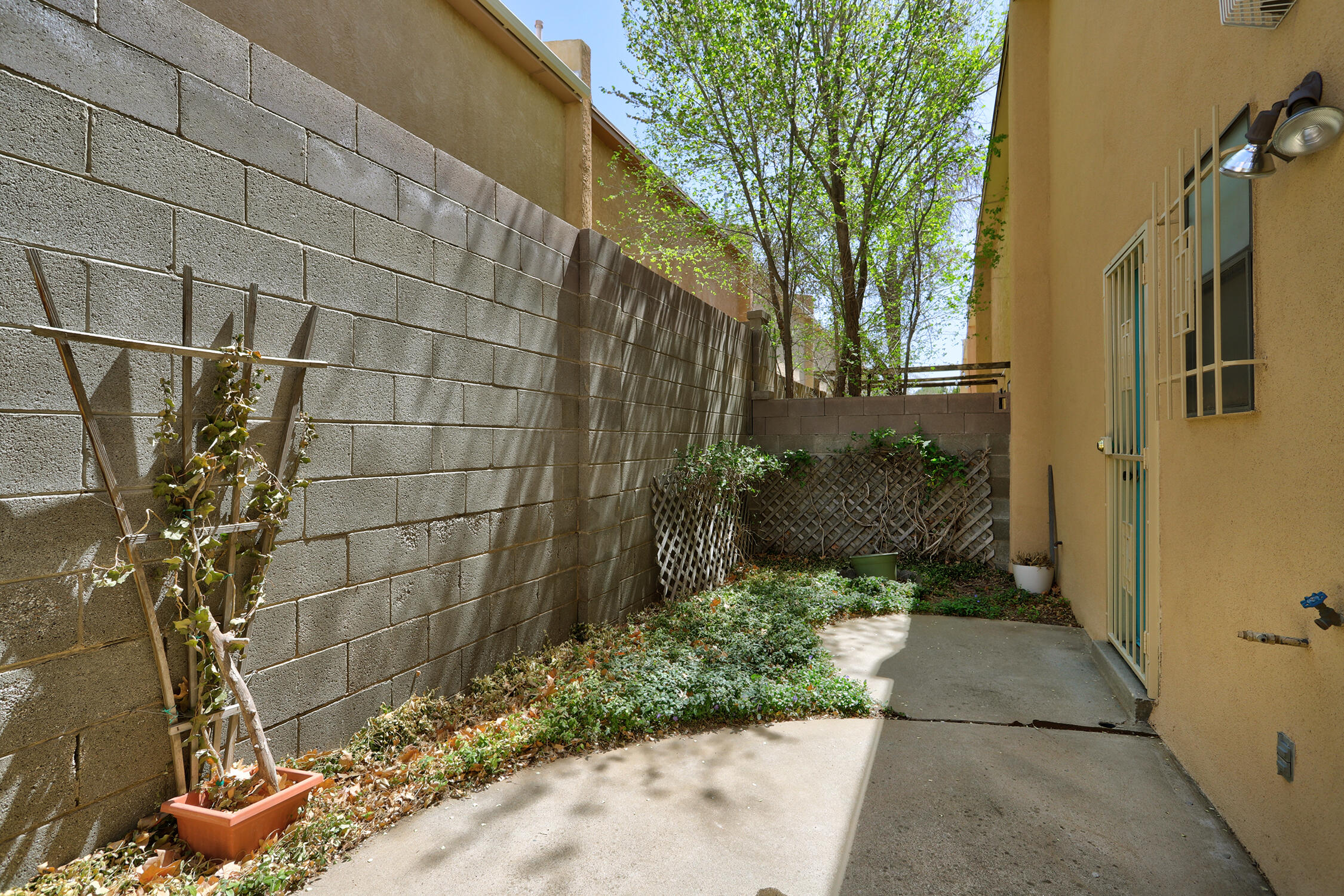 2816 Enebro Street, Albuquerque, New Mexico image 5