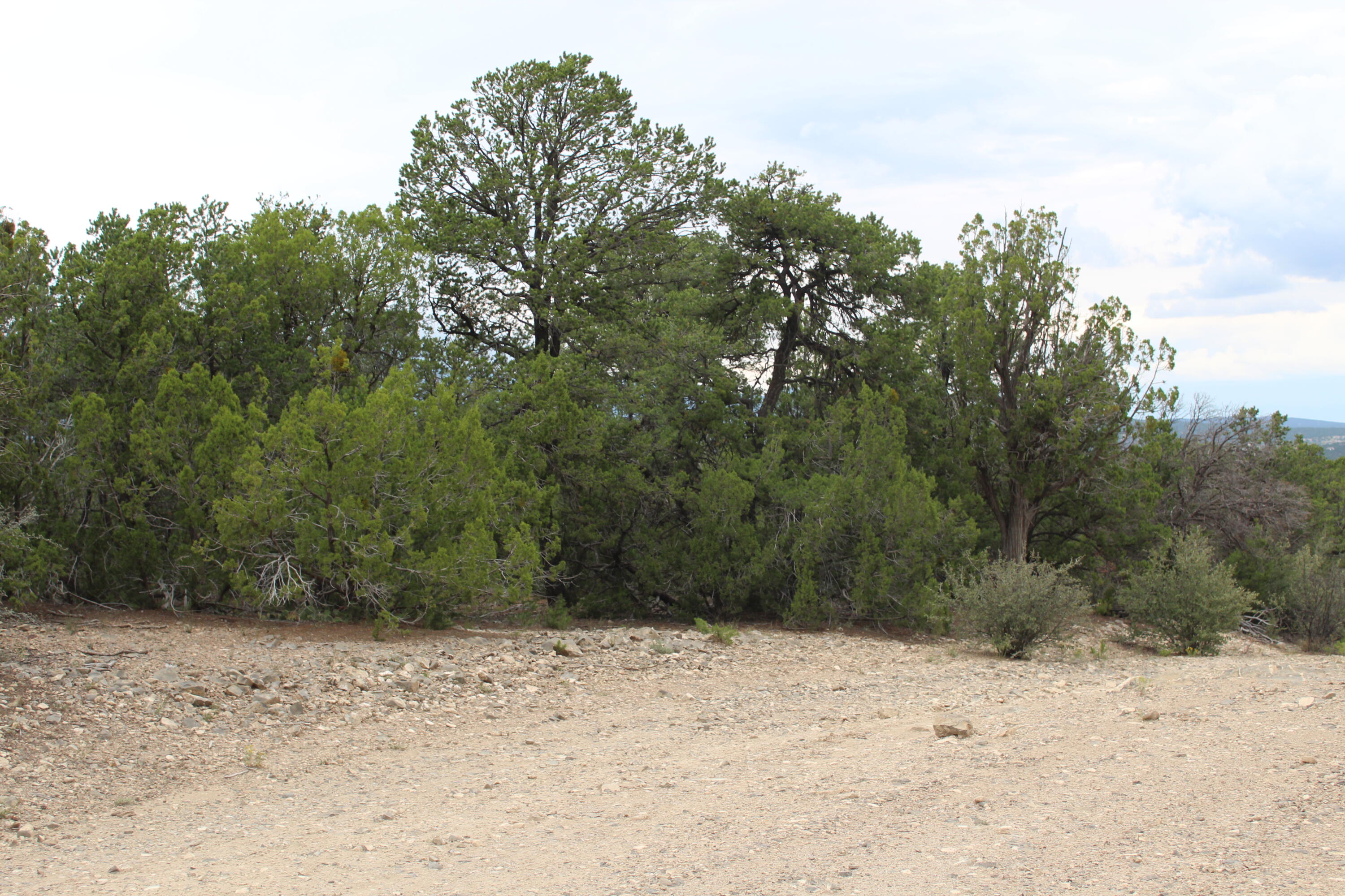 7 Manzano Loop, Tijeras, New Mexico image 6