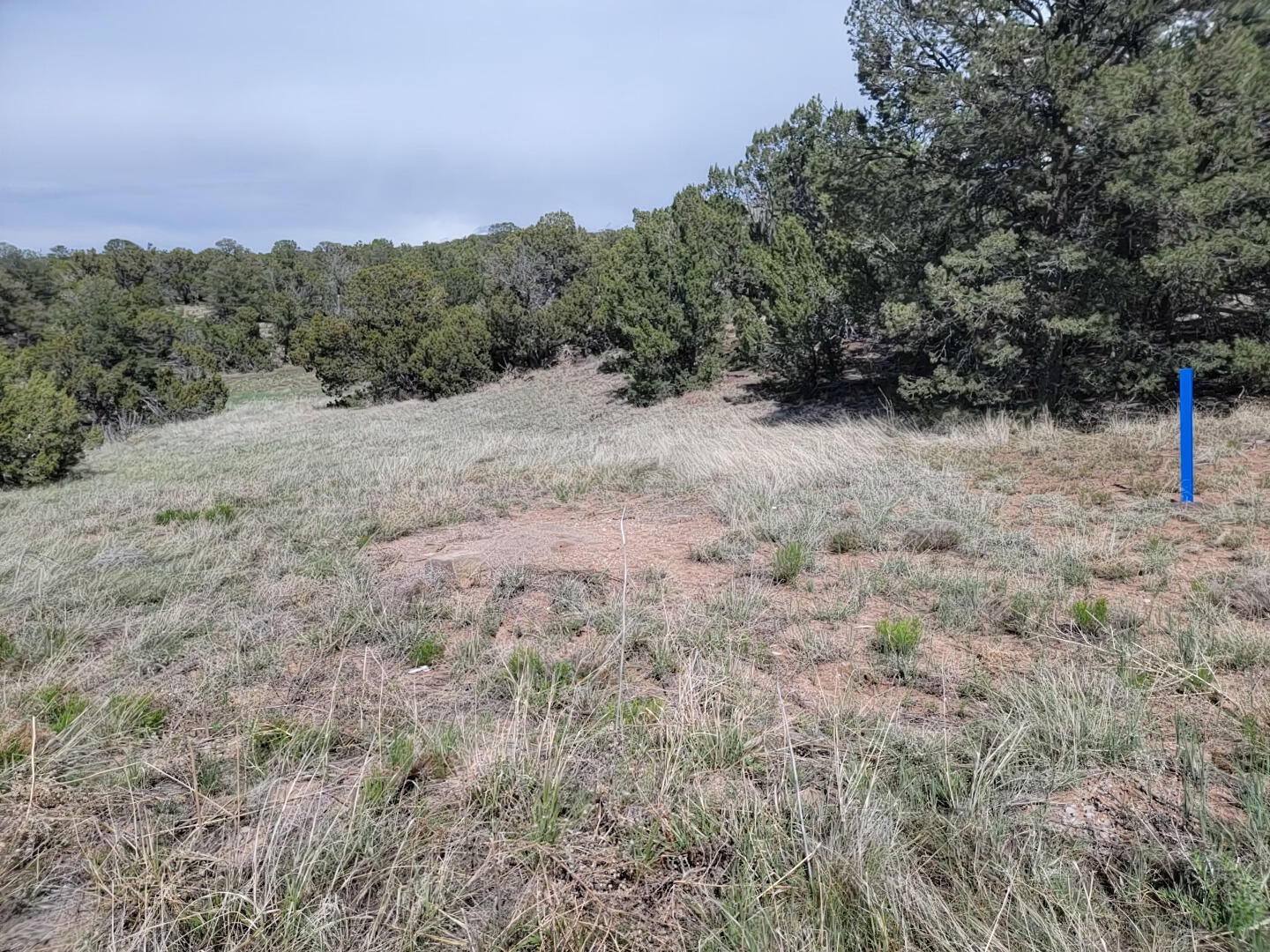 11 High Vista Drive, Edgewood, New Mexico image 2