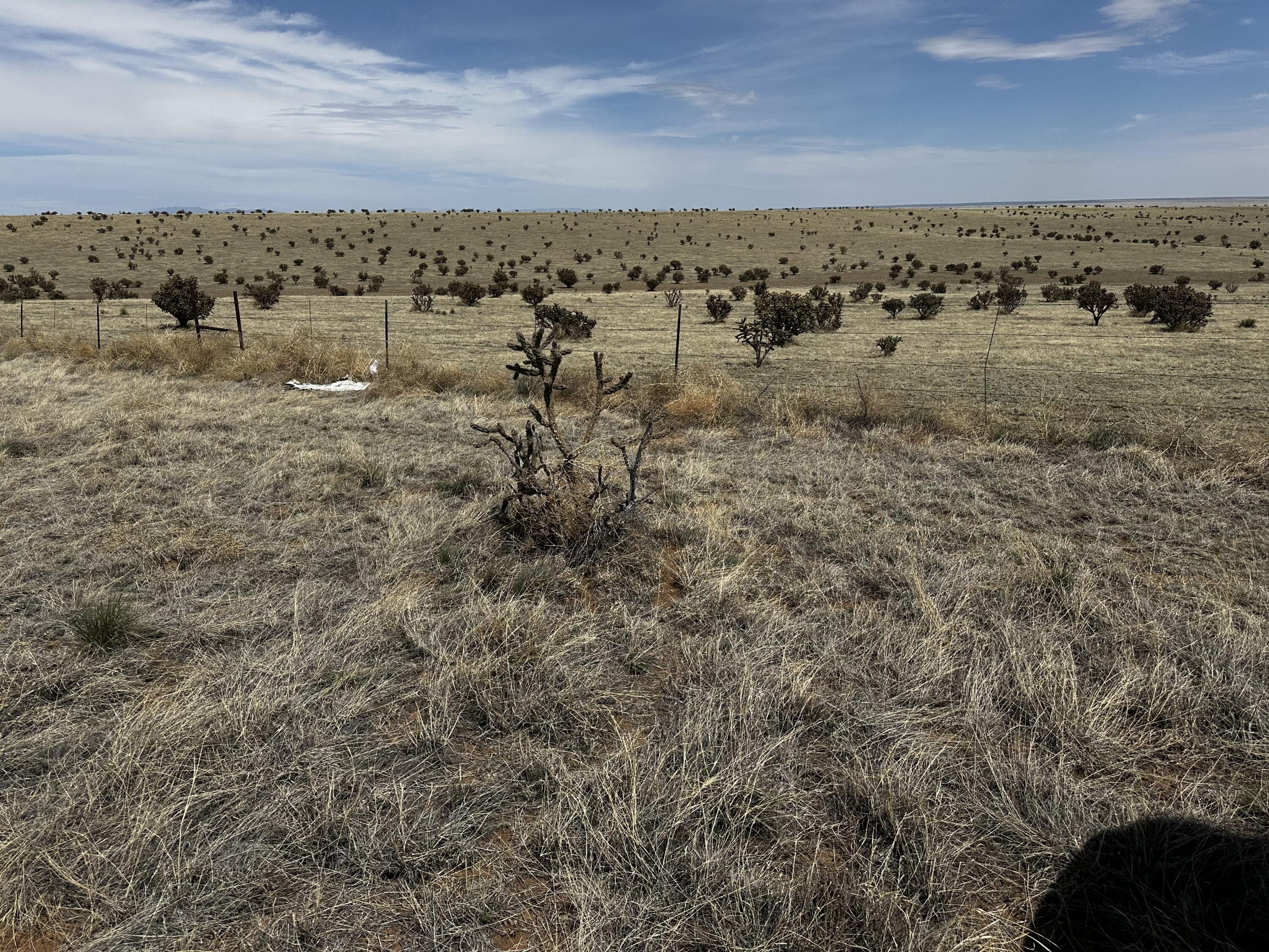 A-4 Camino Sol Y Paz, Stanley, New Mexico image 4