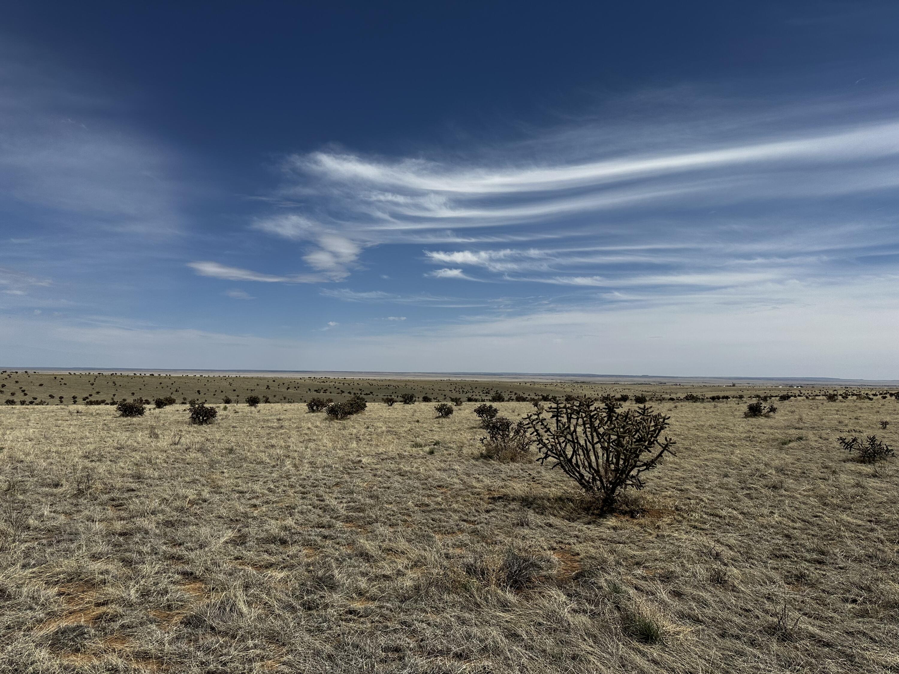 A-4 Camino Sol Y Paz, Stanley, New Mexico image 8