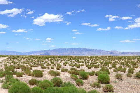 Vacant Land For Sale - LOT 7 & 8 Rio Grande Estates St<br/> Veguita, NM 87062