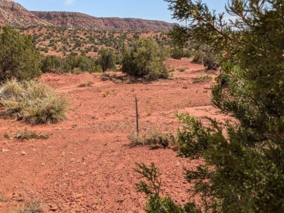 LOT 5A Vista Hermosa, Jemez Pueblo, New Mexico image 5