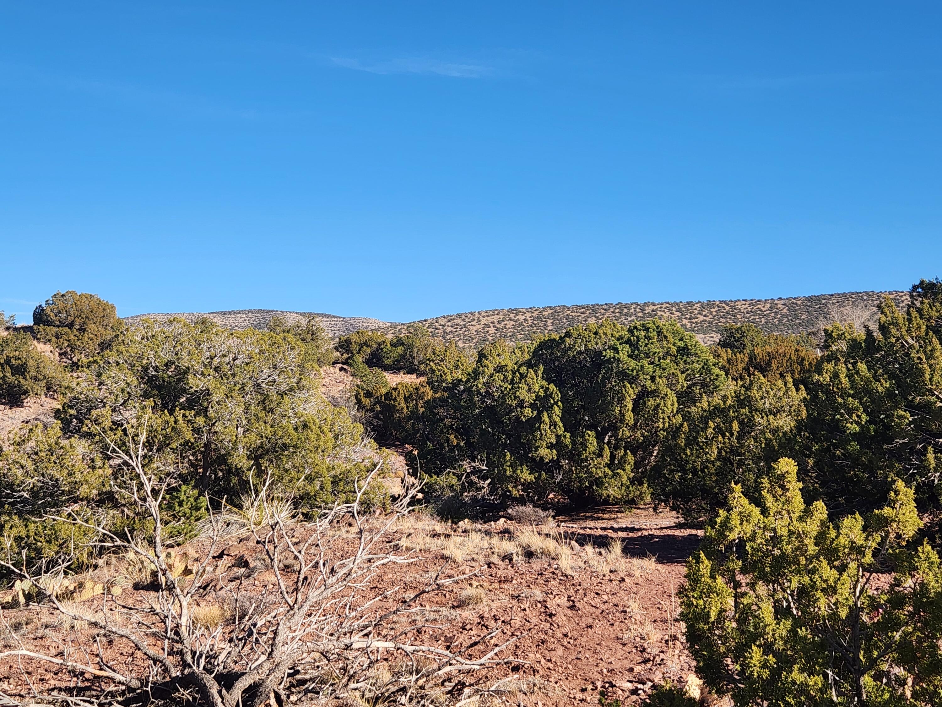 20 CAMINO DEL CARRISITO
