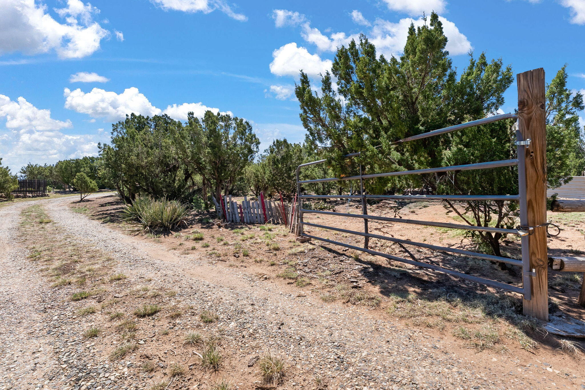 360 Pinon Ridge Road, Sandia Park, New Mexico image 39