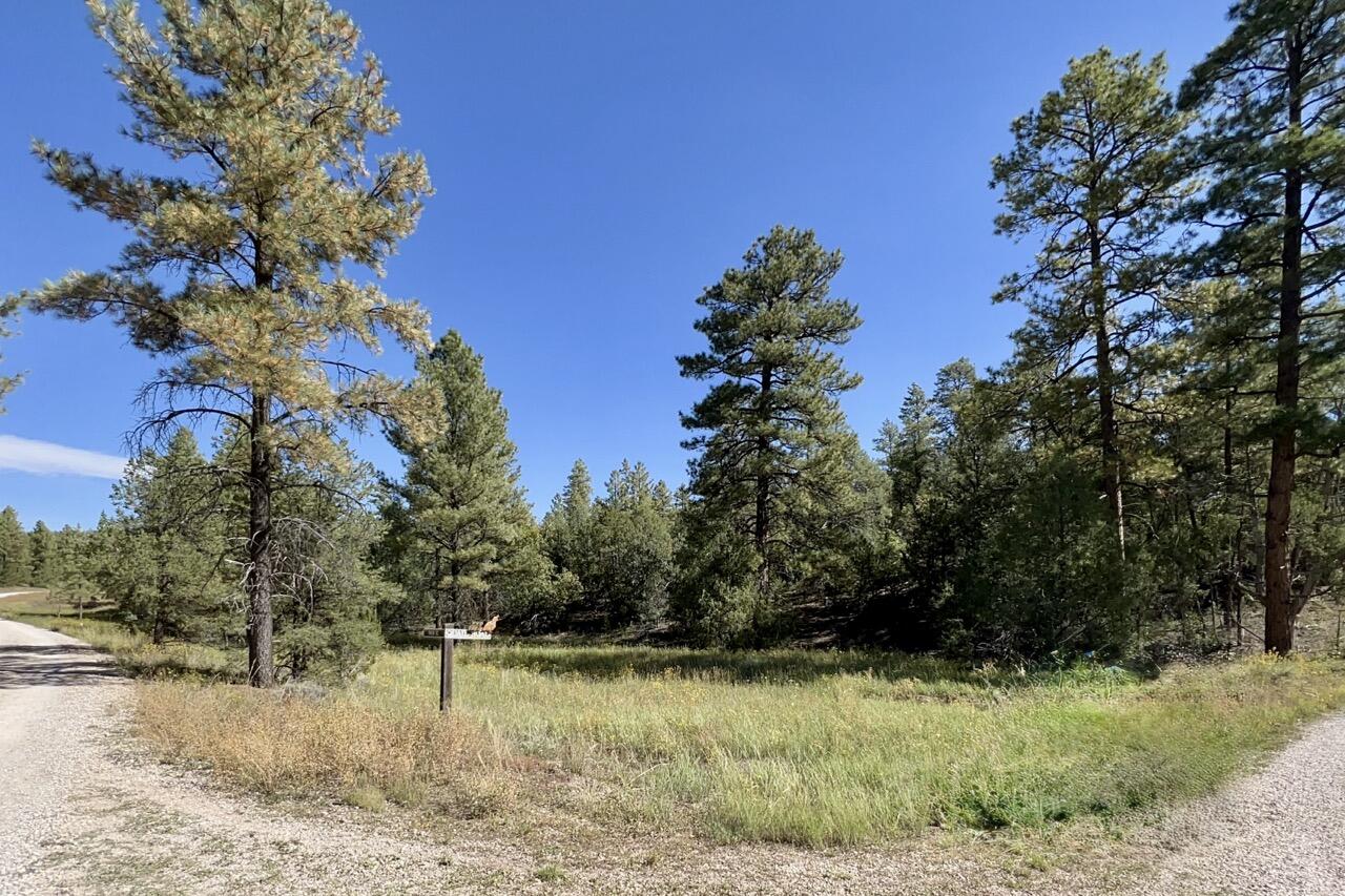 Lot 18 Quail Road, Ramah, New Mexico image 4