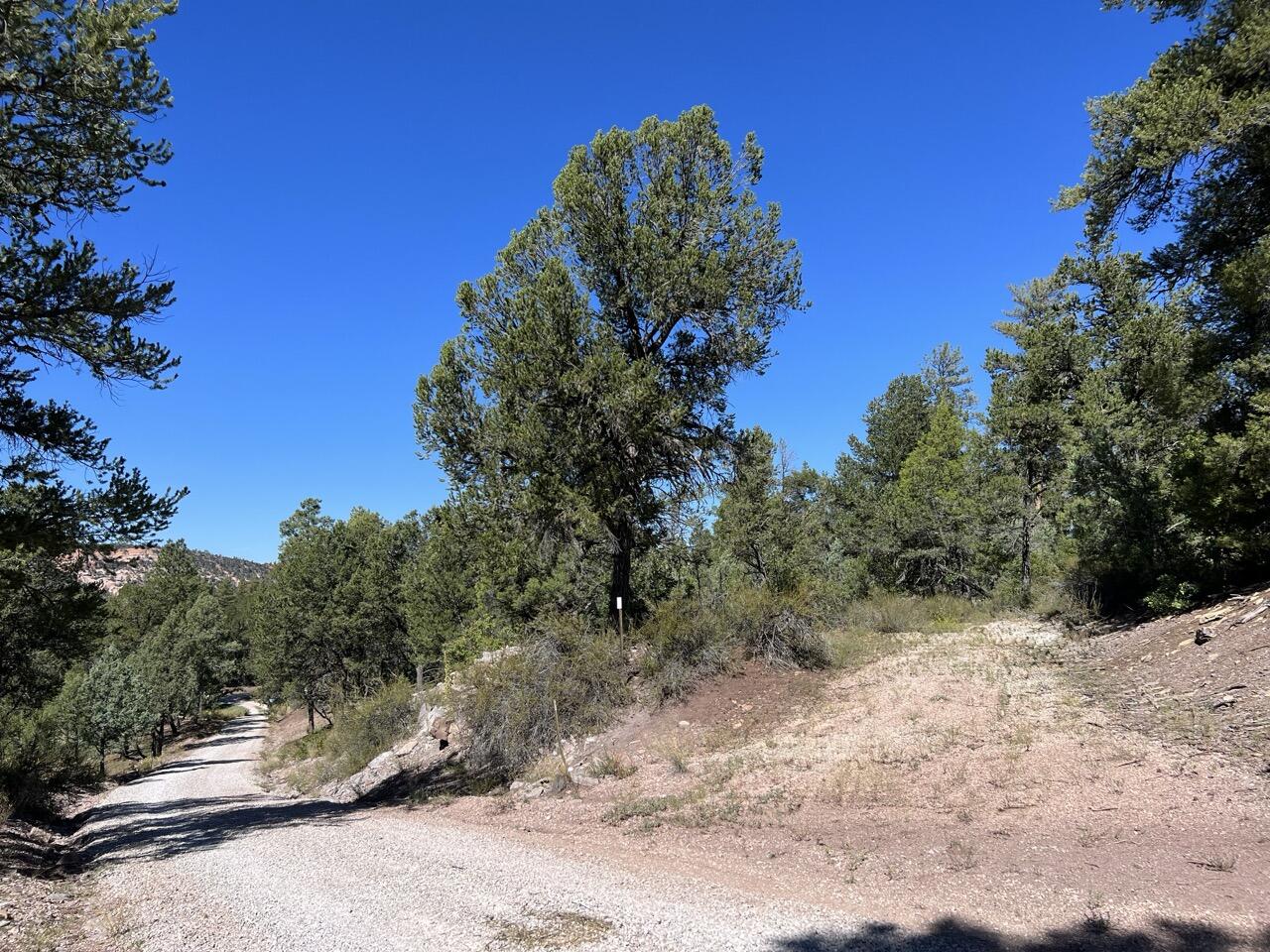 Lot 18 Quail Road, Ramah, New Mexico image 29